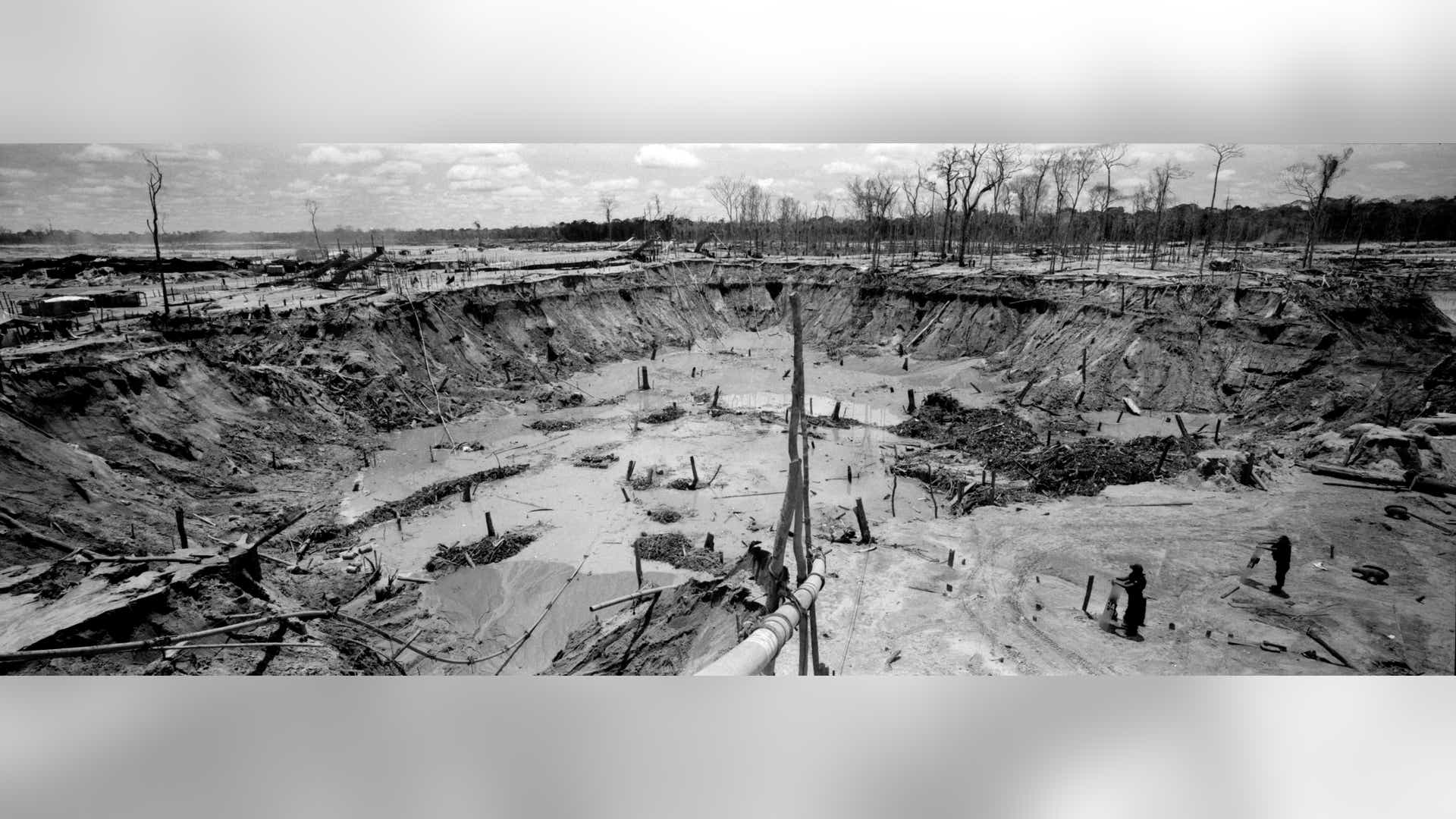 Peru_Rainforest_Destroyed__3_