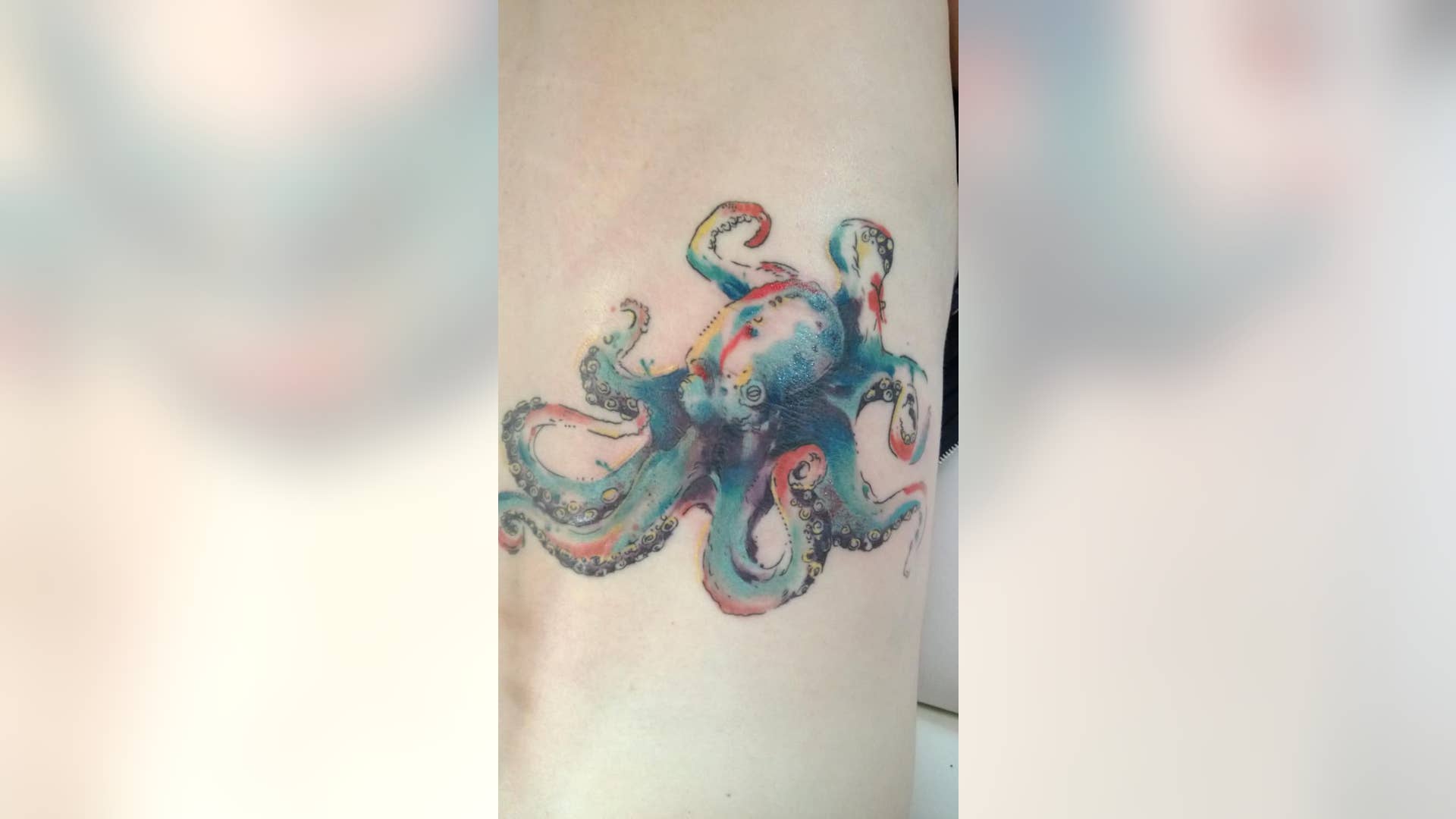 Octopus
