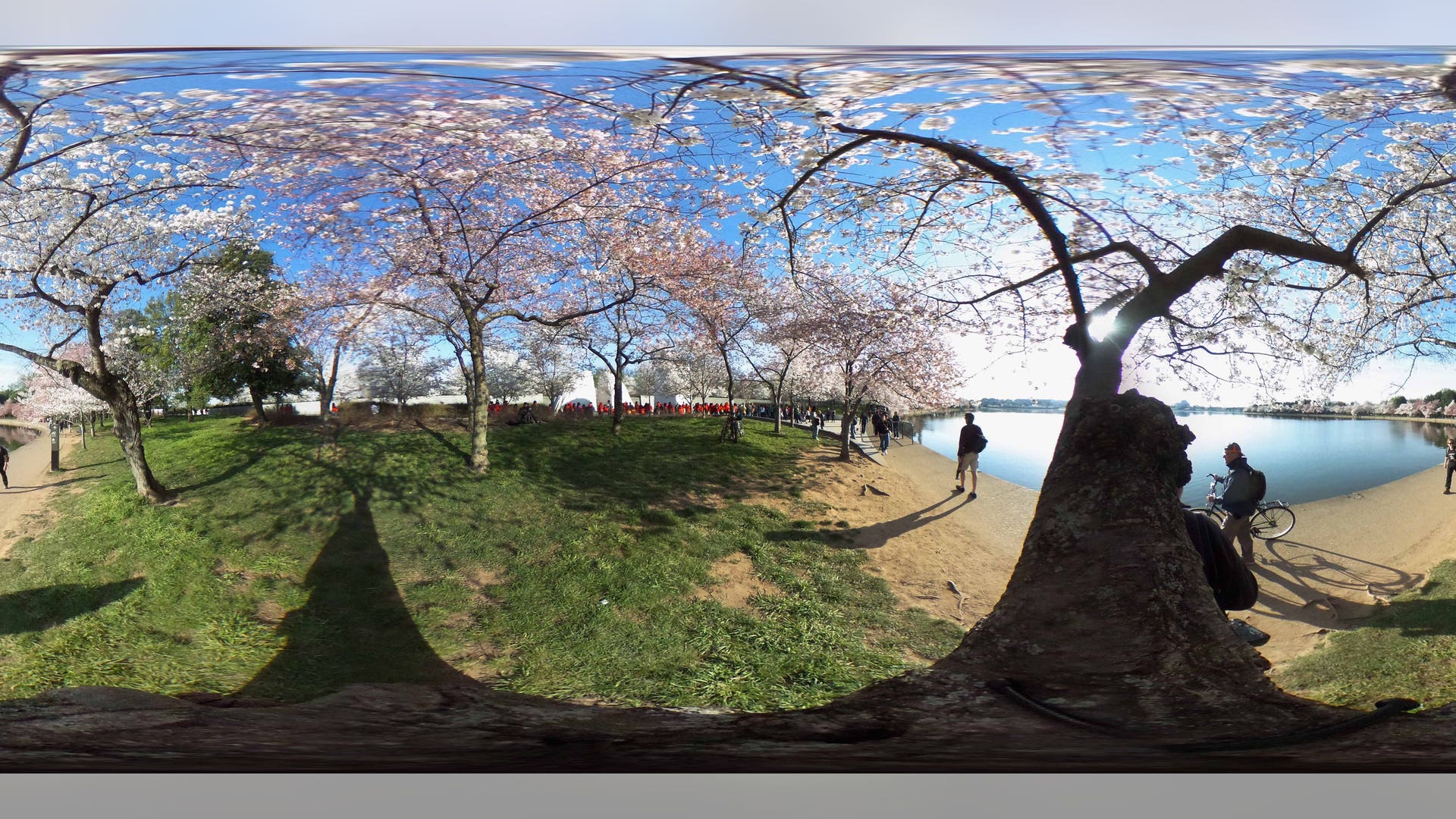 GettyImages_517316776