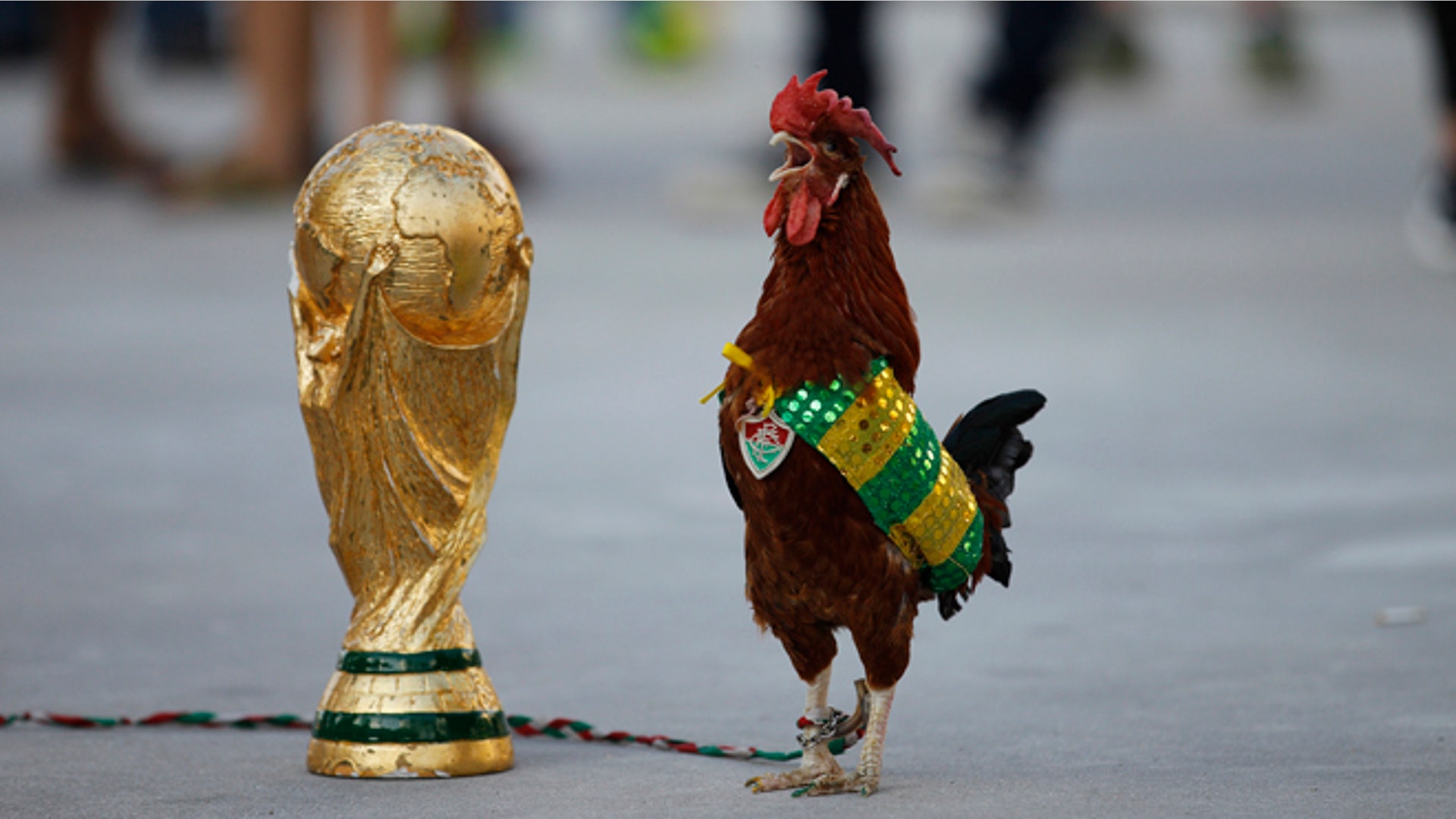AP_World_Cup_Gallo_Top