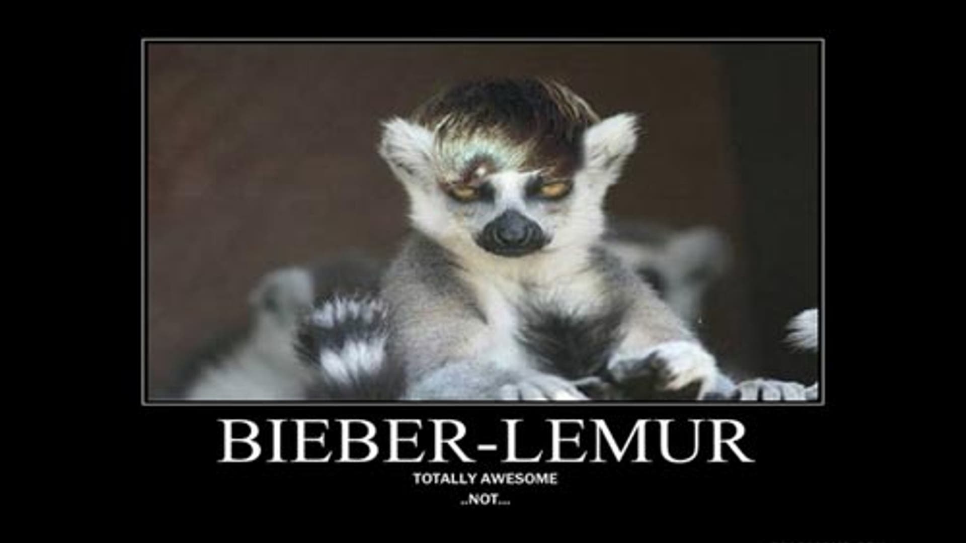 Animal Hybrids We'd Like to See