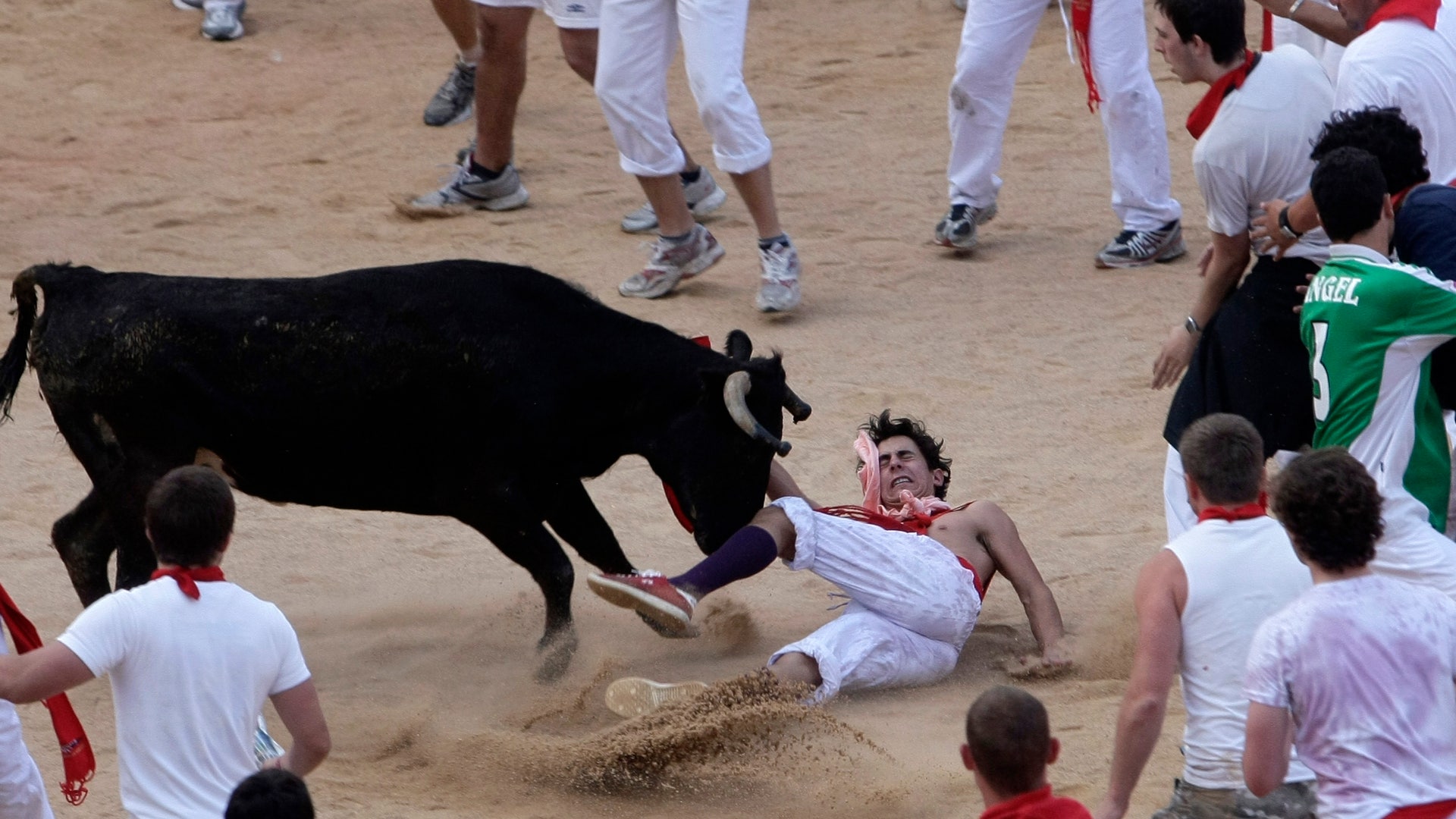 Gored by the Bulls