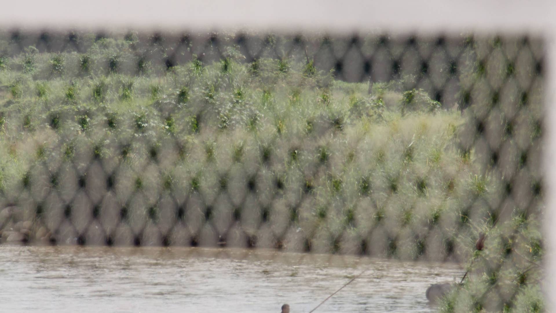 Scenes From The Mexico Guatemala Border Fox News   4 View From Bridge 