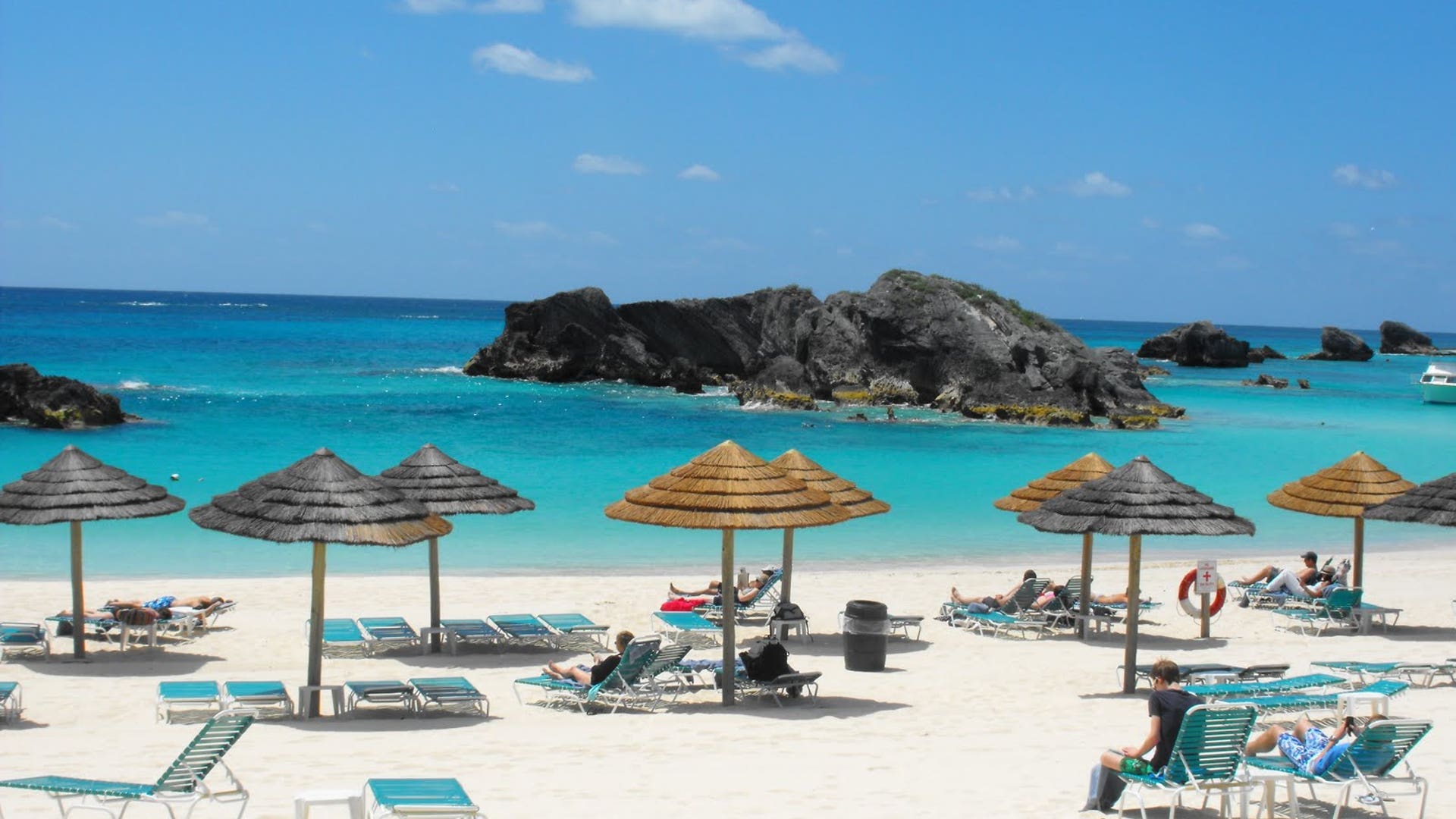 4___Swim_with_the_fishes