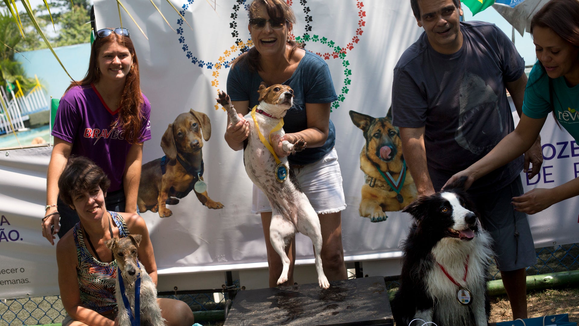 Brazil_Dog_Olympics__12_