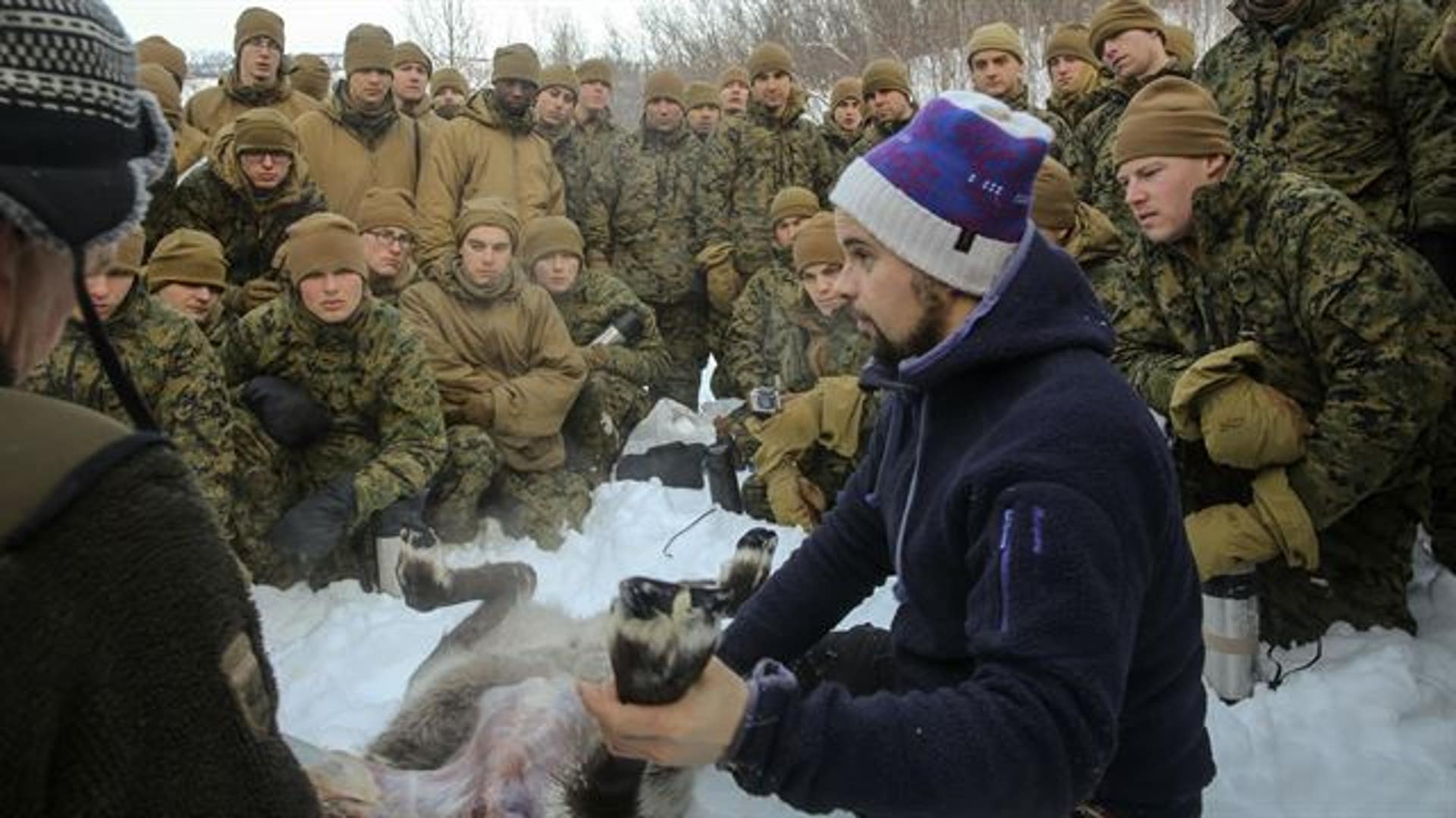 Hope it's not Dasher or Dancer...