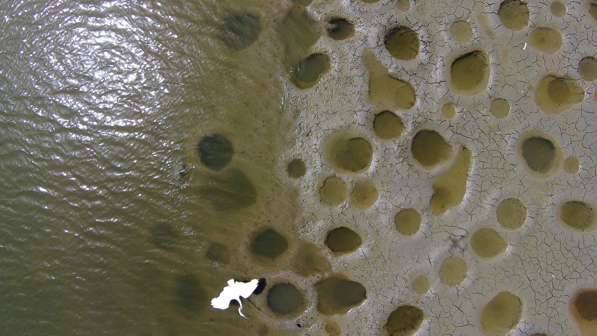 Caribbean_Summer_Drought__2_