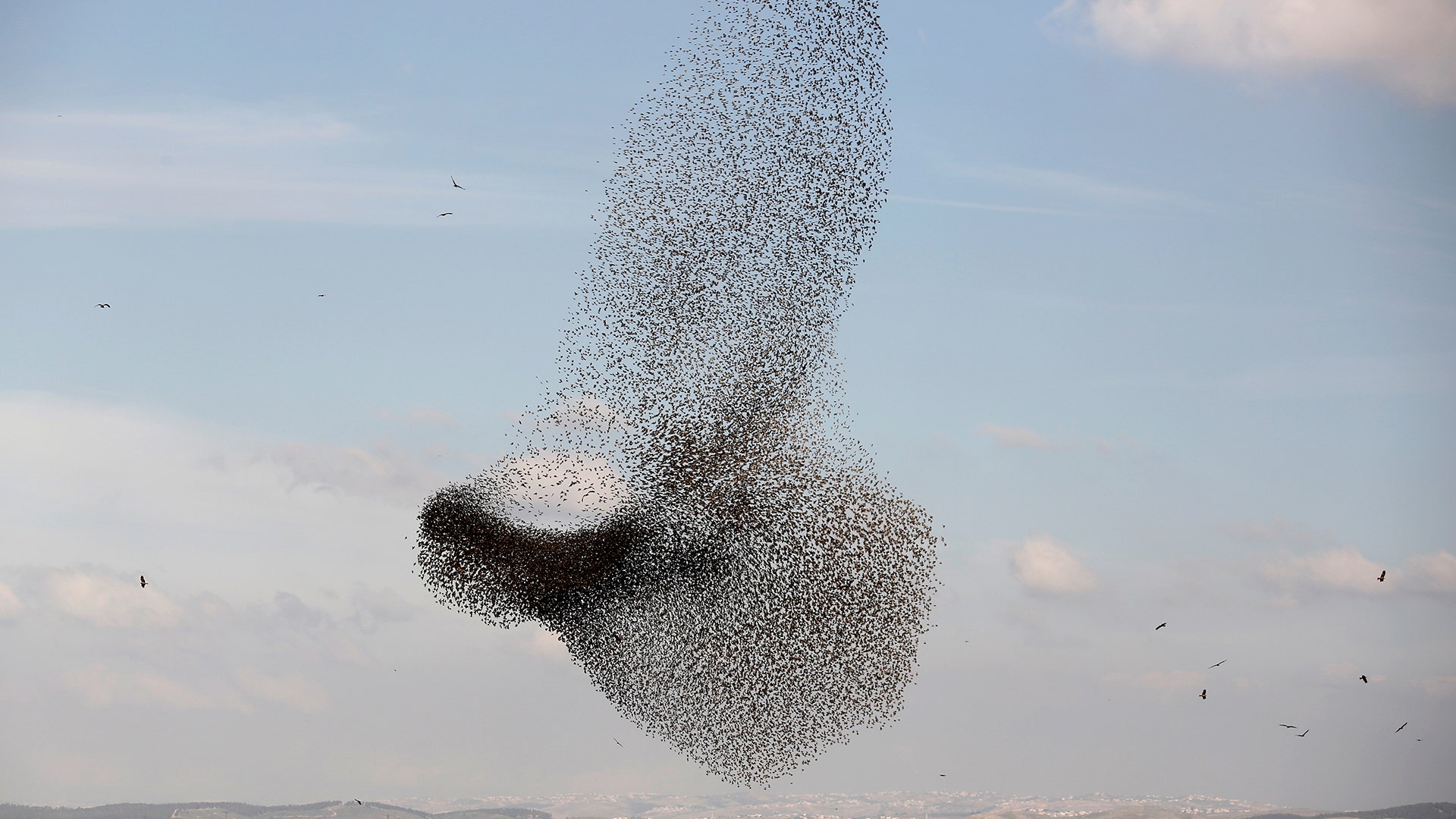 A murmuration of migrating starlings is seen across the sky near the village of Beit Kama in southern Israel, January 16, 2018
