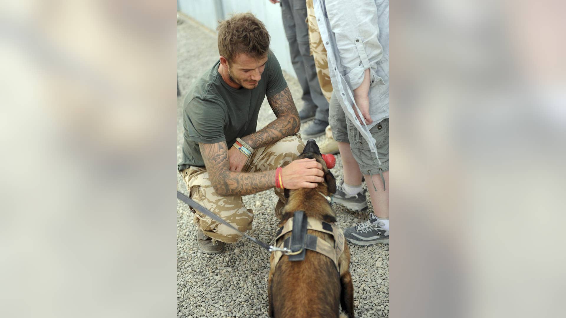 David Beckham makes a new friend during a visit to Afghanistan