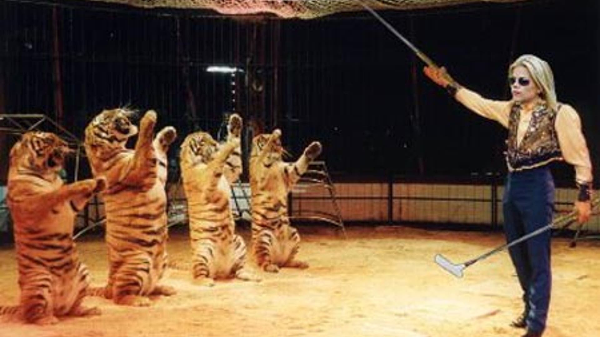 What's Next for Elin?