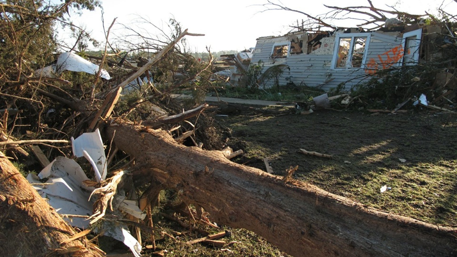 Tree Down Mississippi