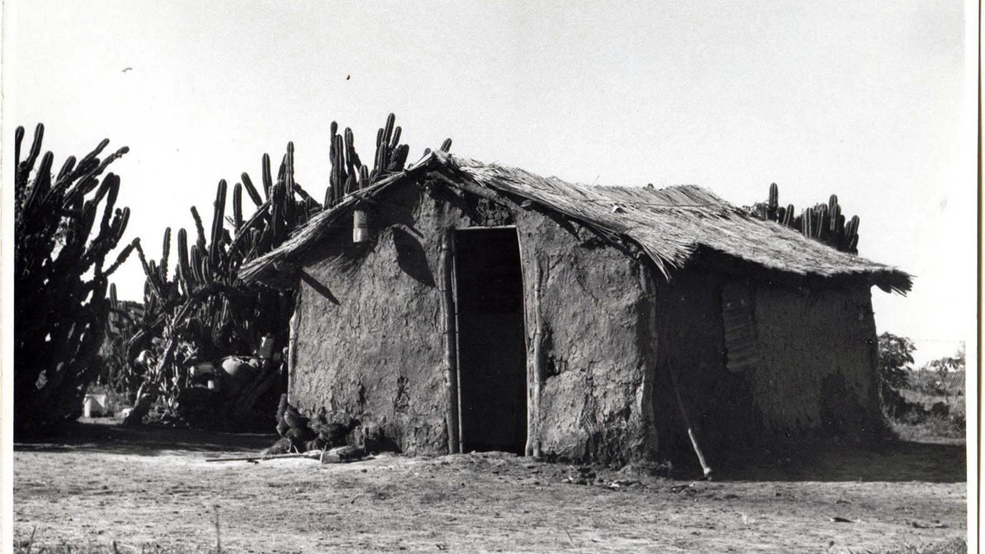 Vivienda_primitiva___rancho