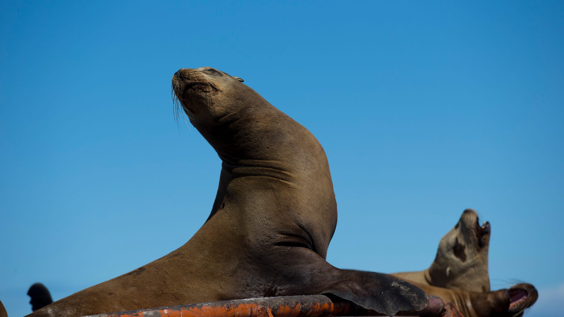 Mexico_Baja_Tourism__4_