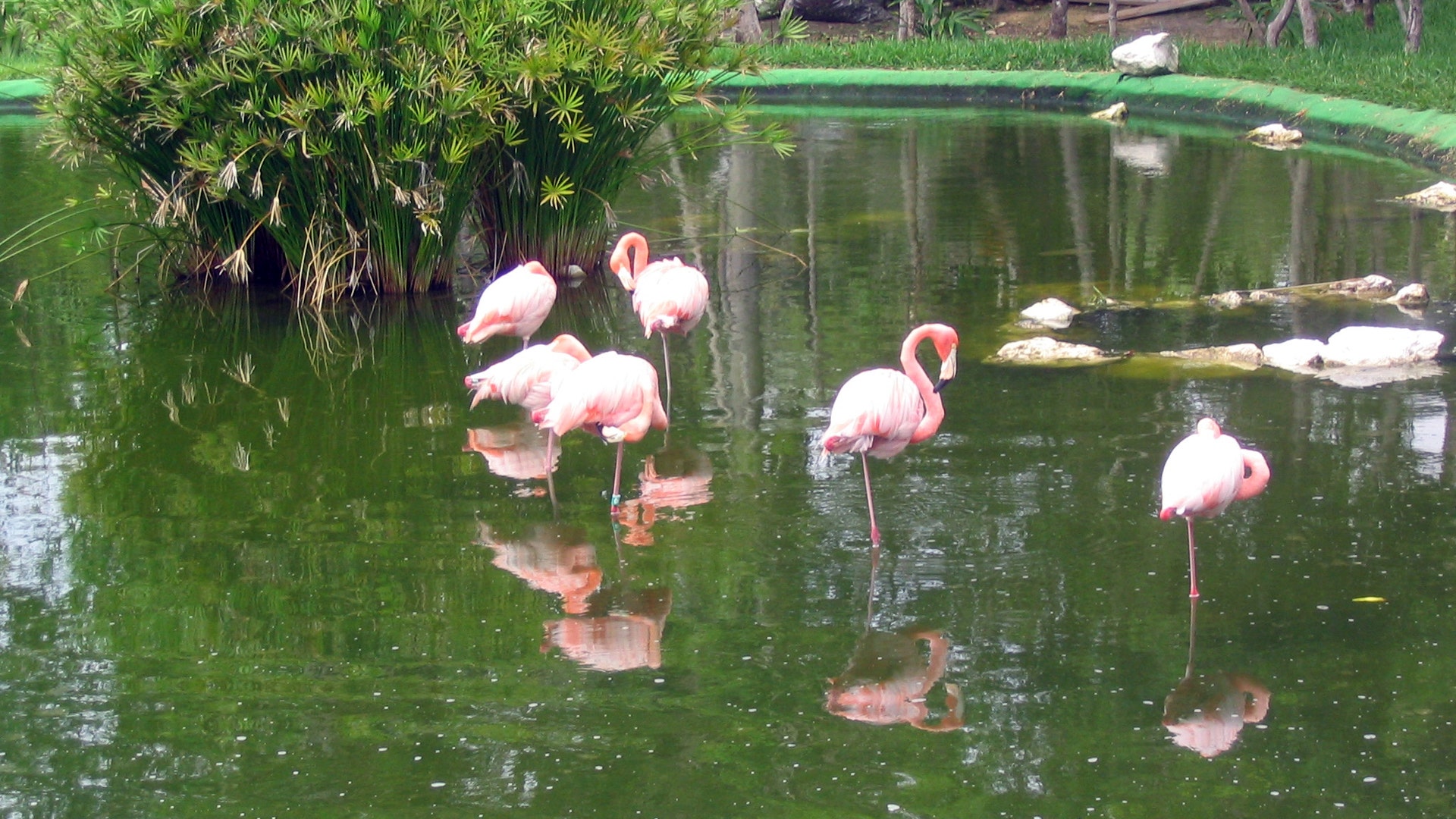 grand_palladium_kantenah1