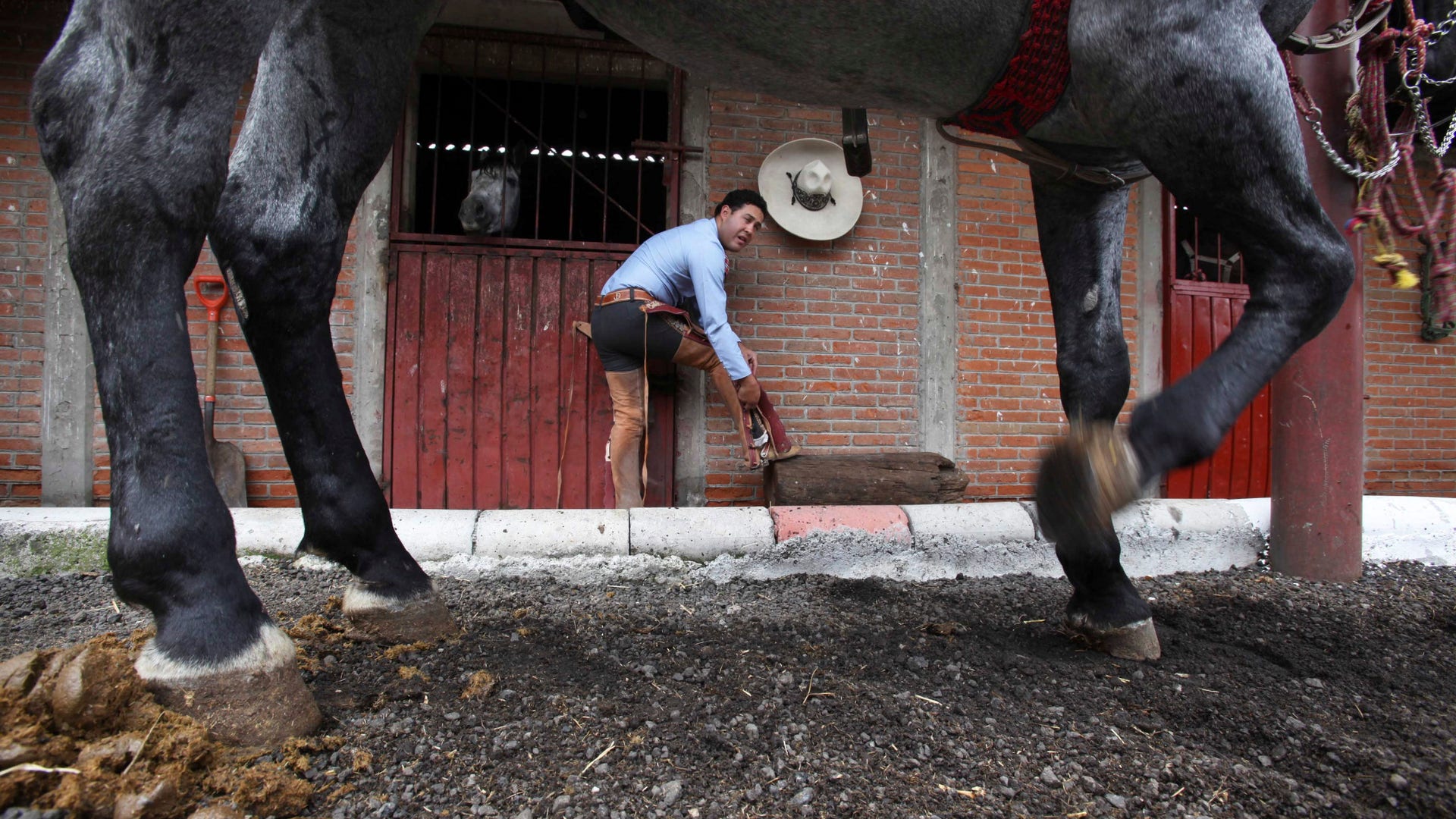 Mexico_Charro_Culture__1_