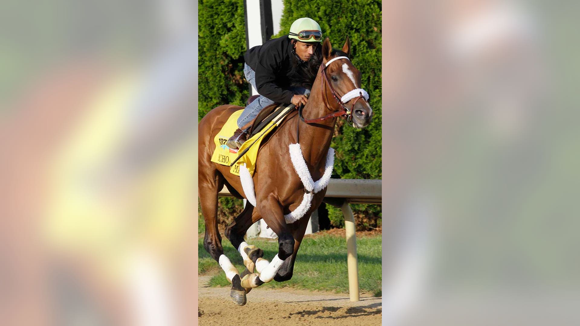 Rajiv Maragh 5-6-2011 LATINO