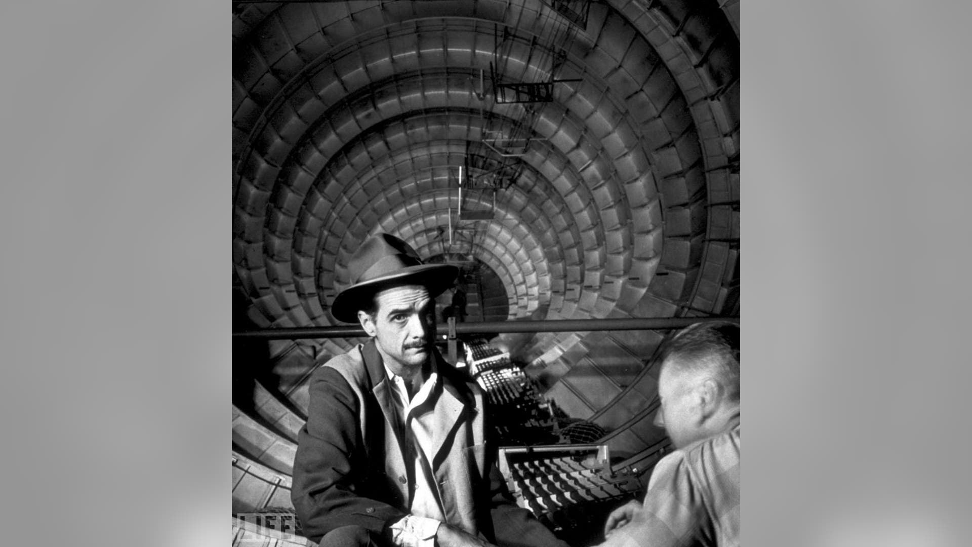 Howard and the Goose