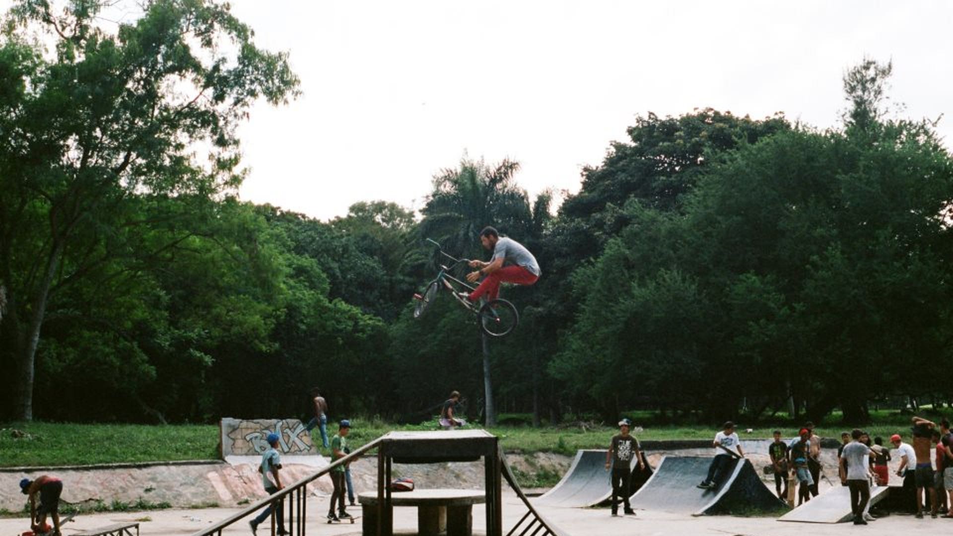 536779_10101501035444739_925887095_n