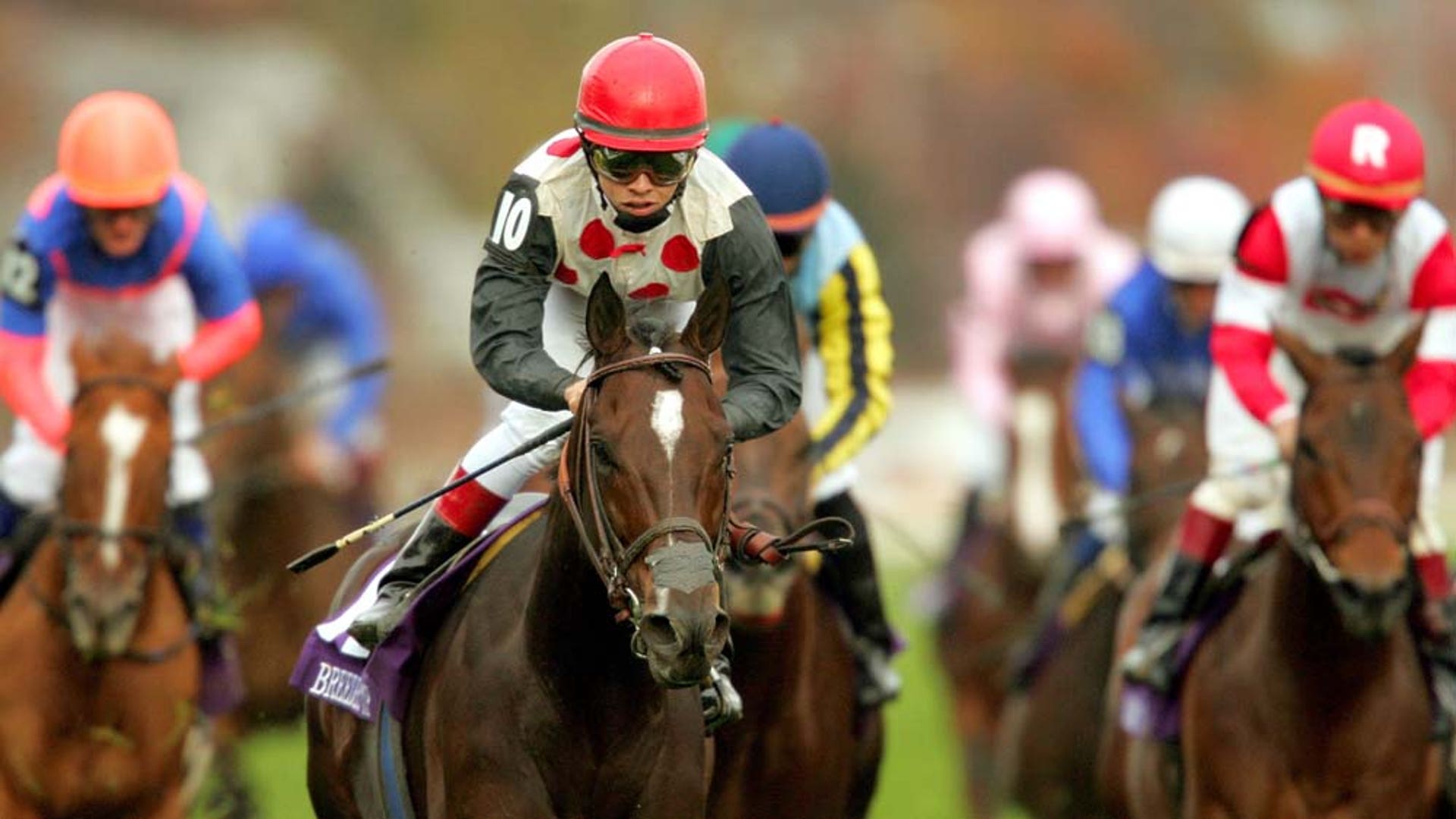 Eddie Castro 5-6-2011 LATINO