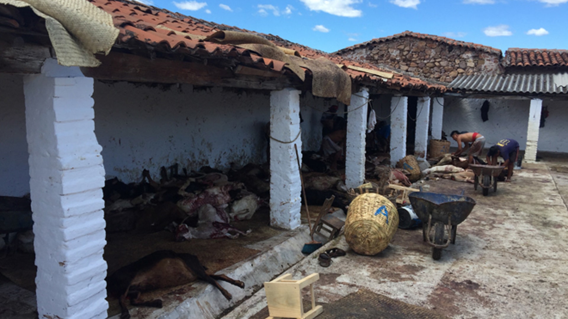 Goat_killing_area_Latino