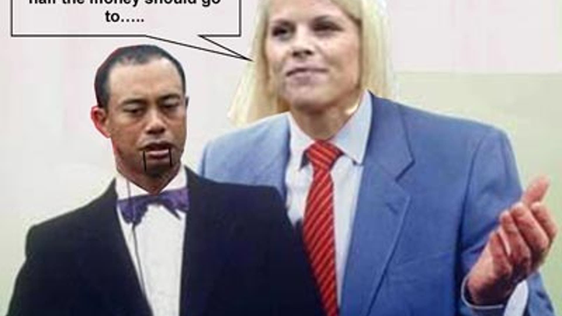 Tiger's Apology