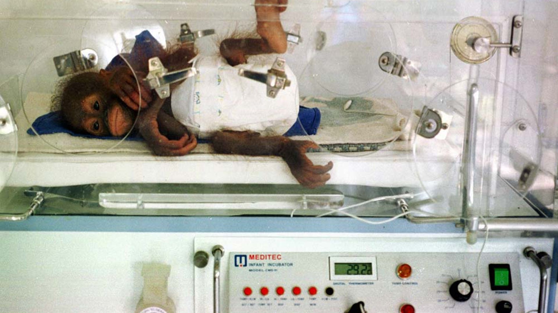 ThreatenedEcosystems1