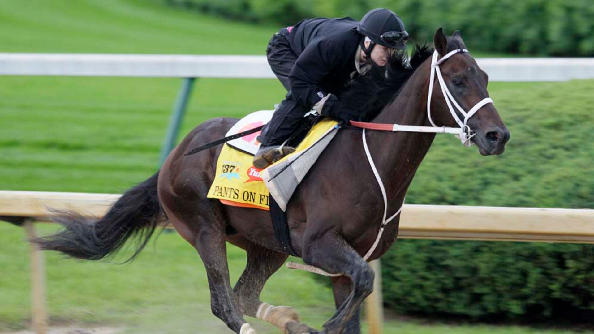 Anna Napravnik 5-6-2011 LATINO