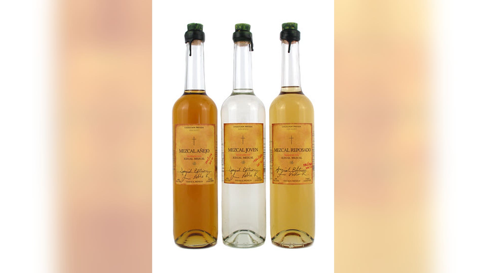 ilegal mezcal family