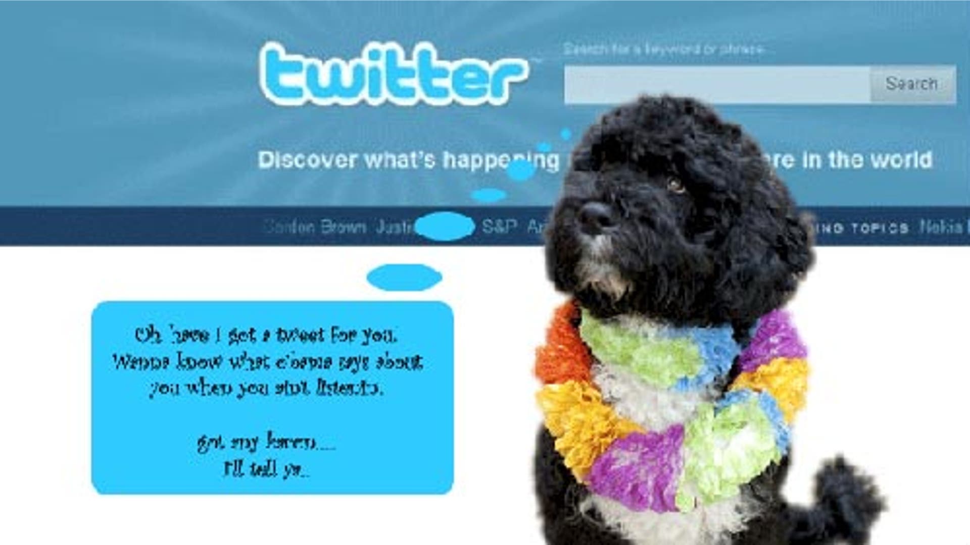 Who Should Get On Twitter?