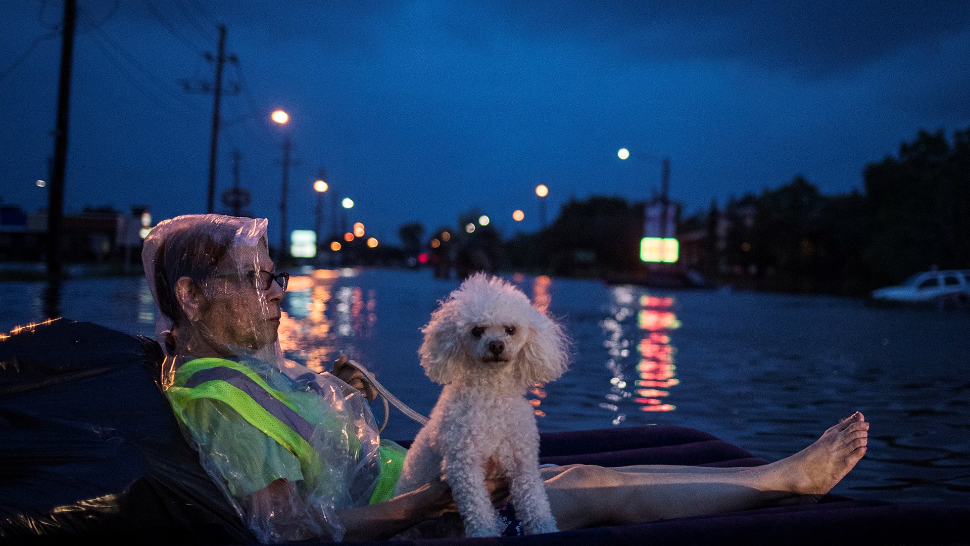 A woman and her poodle wait on an air mattress to be rescued from flood waters on Scarsdale Boulevard in Houston, Texas, Sunday