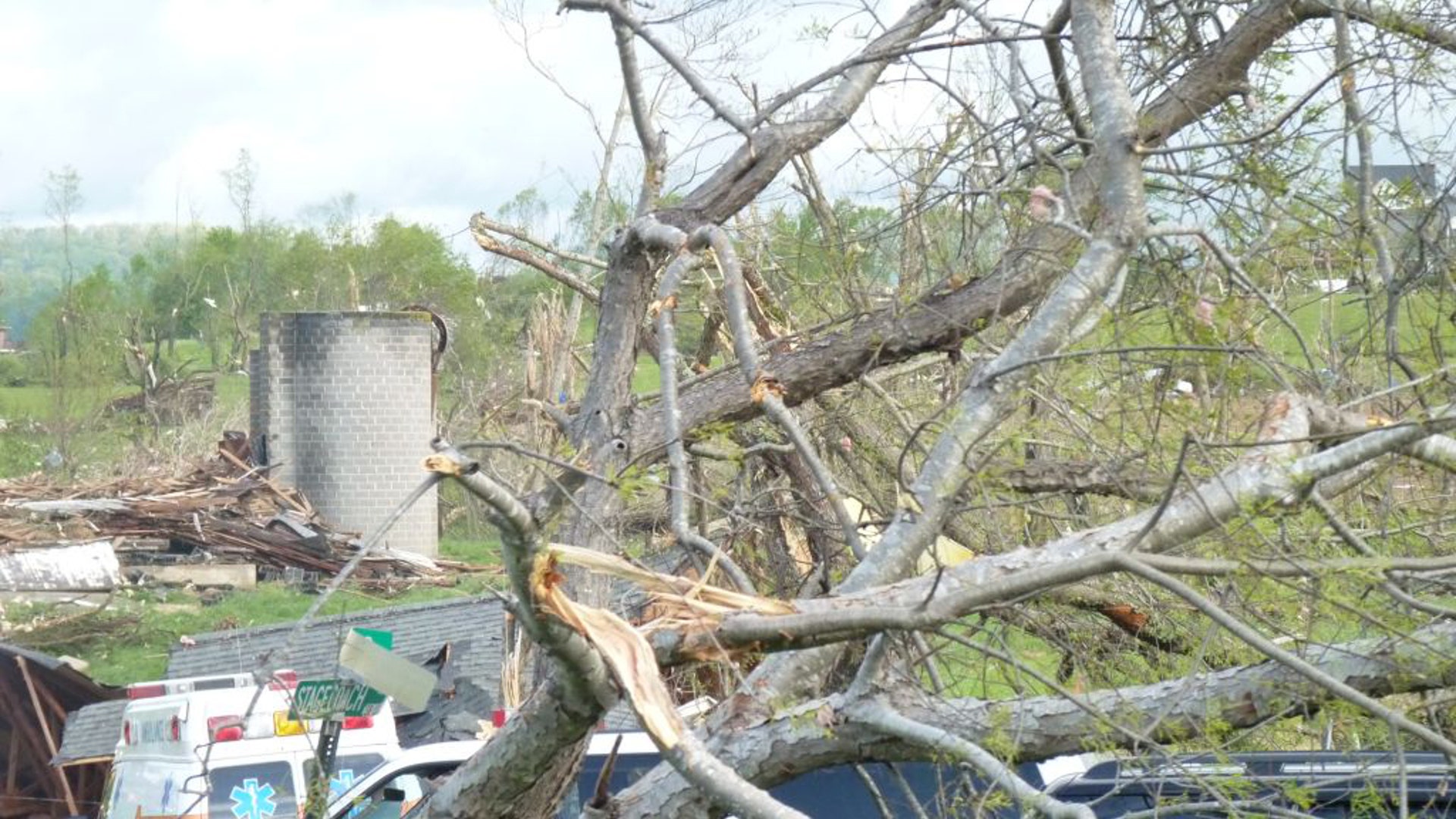 Overturned_Tree_Fox_News