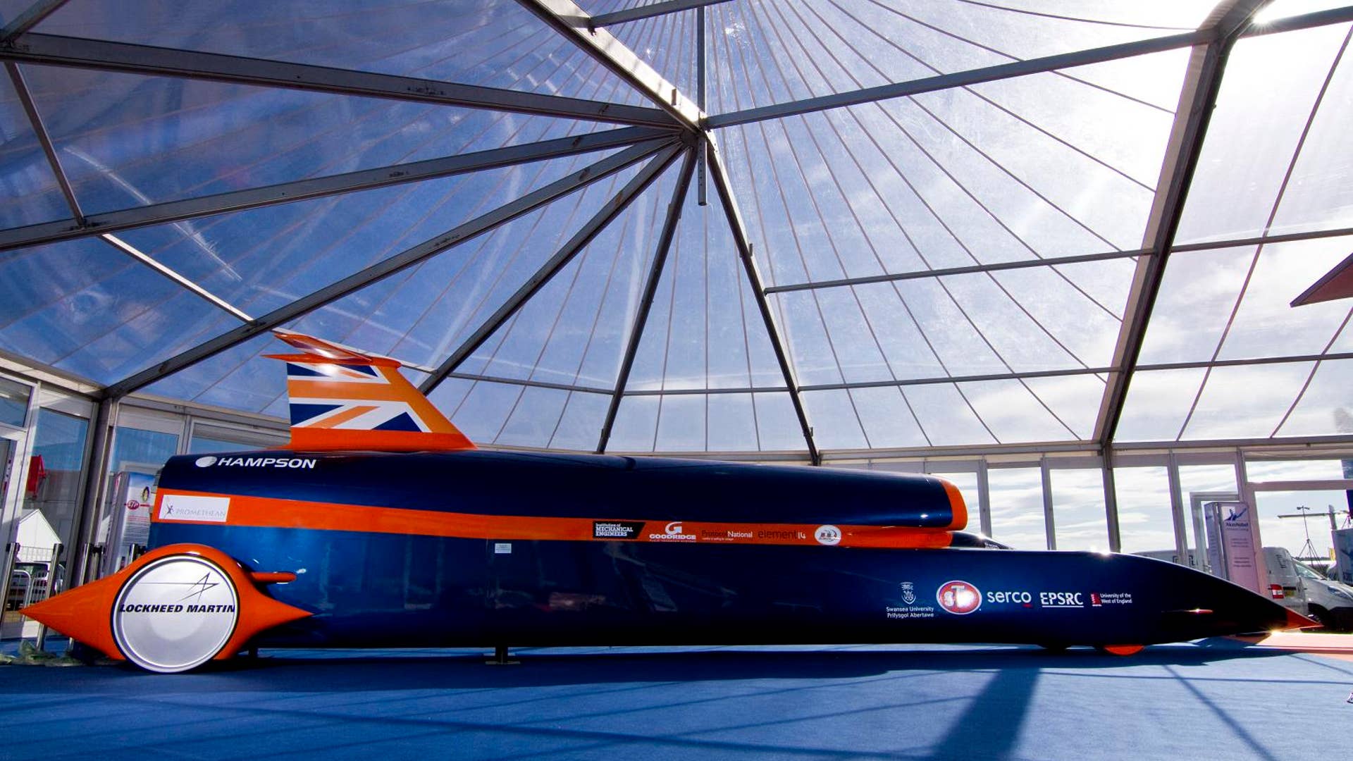 Bloodhound Side View