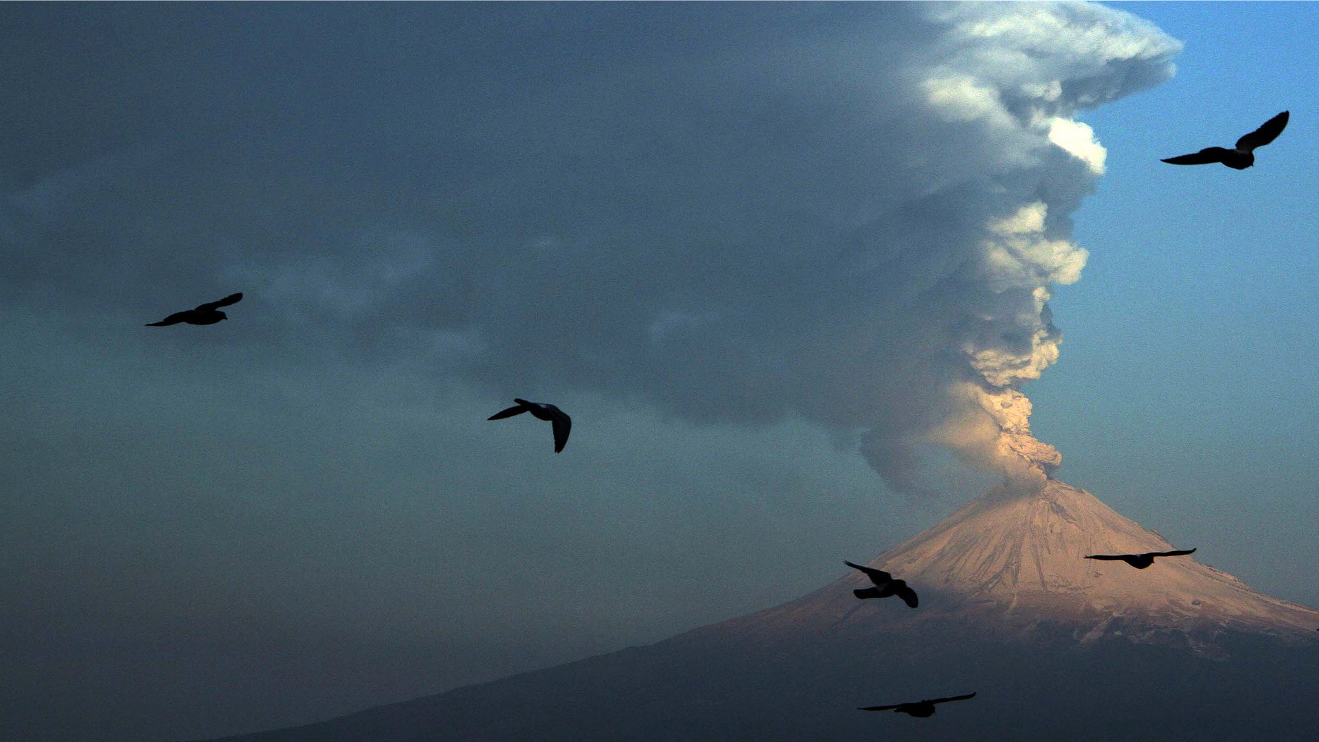 Volcano_Birds