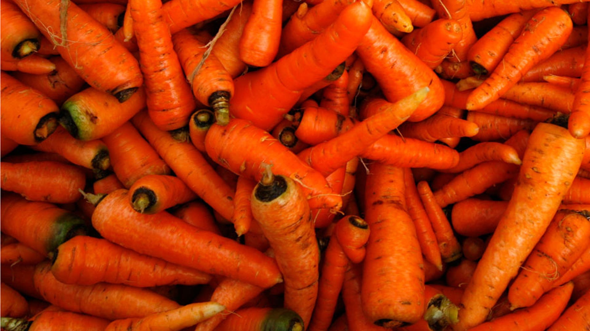 Carrots