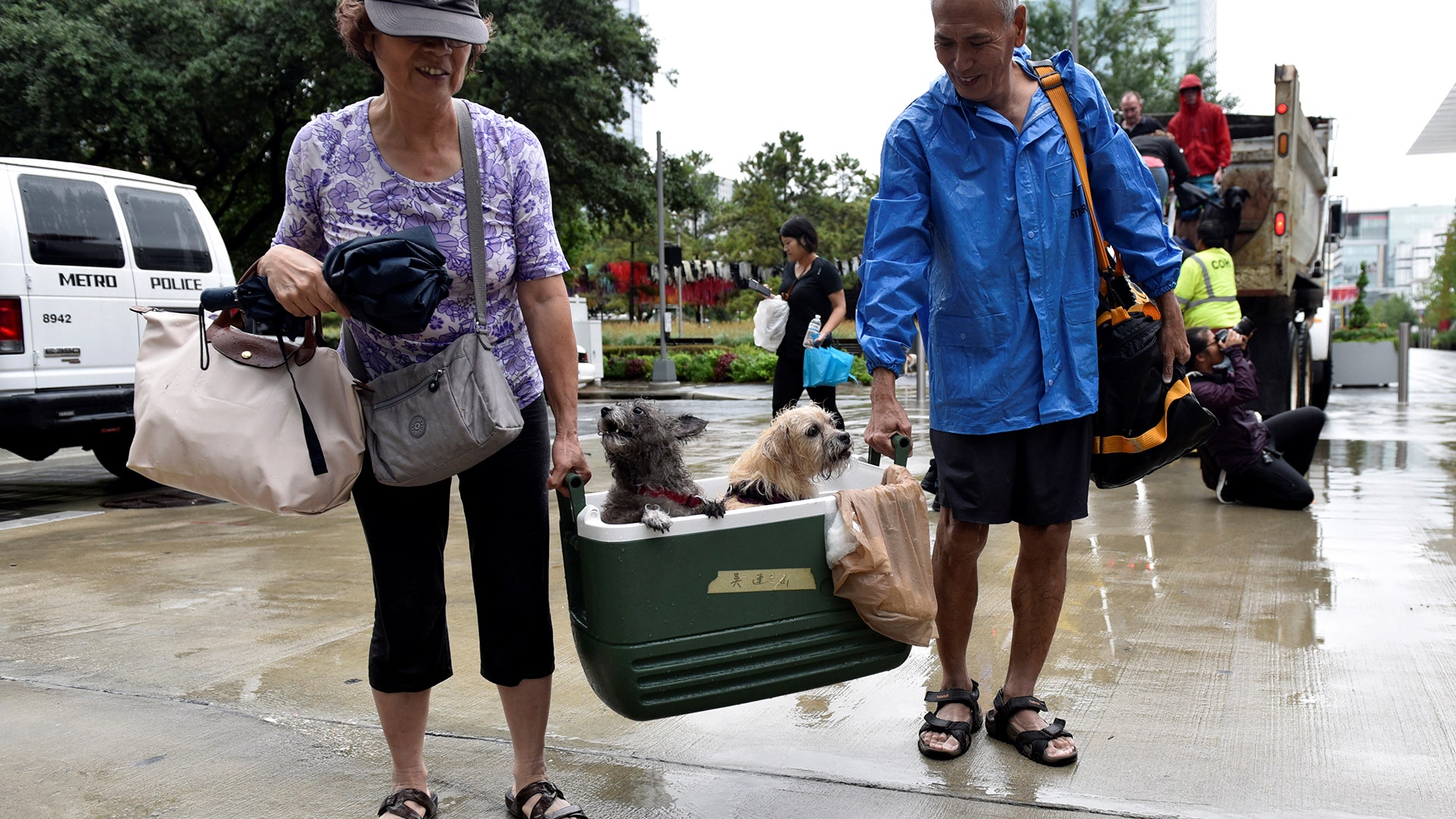 Evacuees carry their dogs into the the George R. Brown Convention Center after being rescued from flooding, in Houston, Sunday