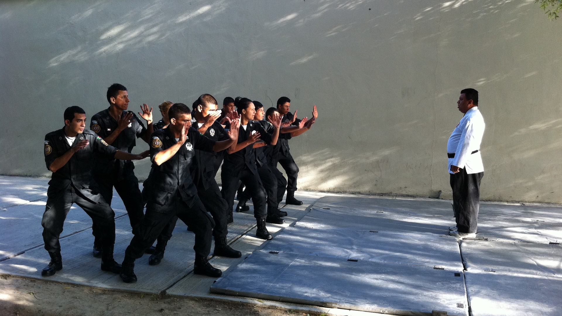 Nueva_Fuerza_training