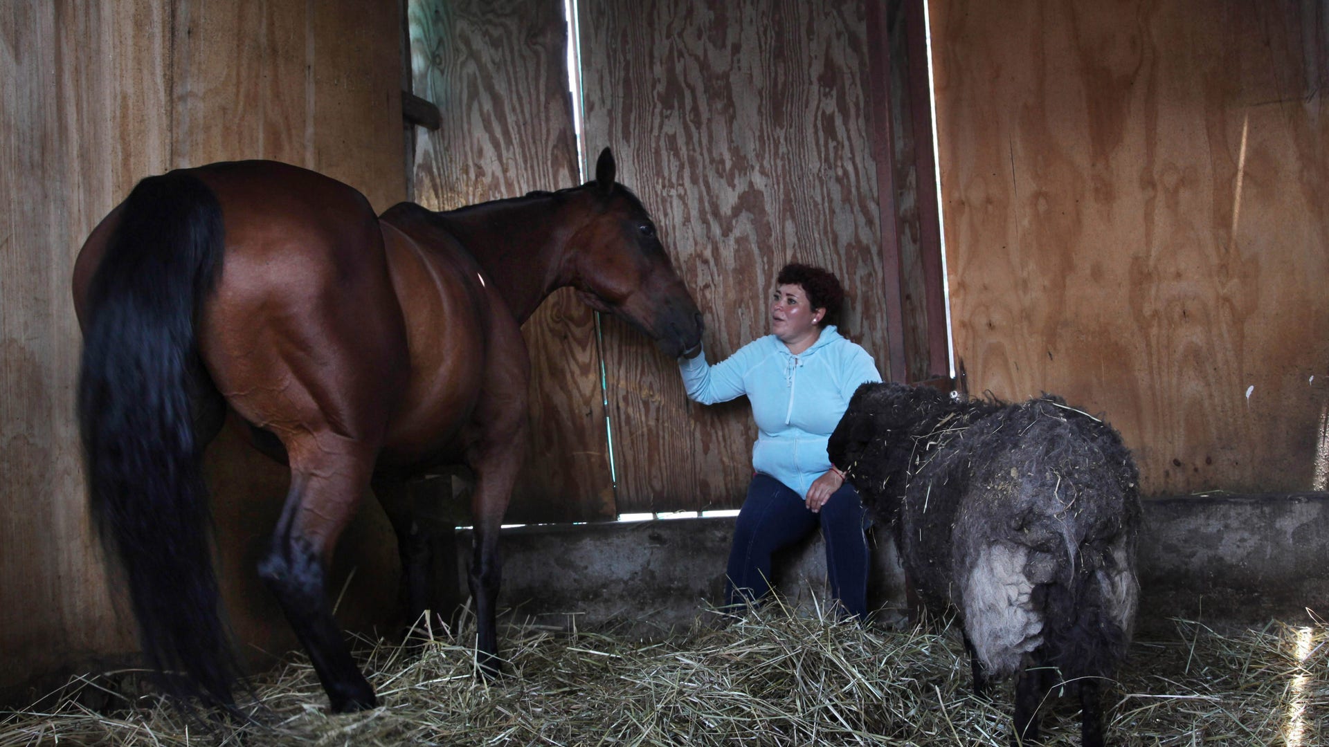 Mexico_Charro_Culture__6_