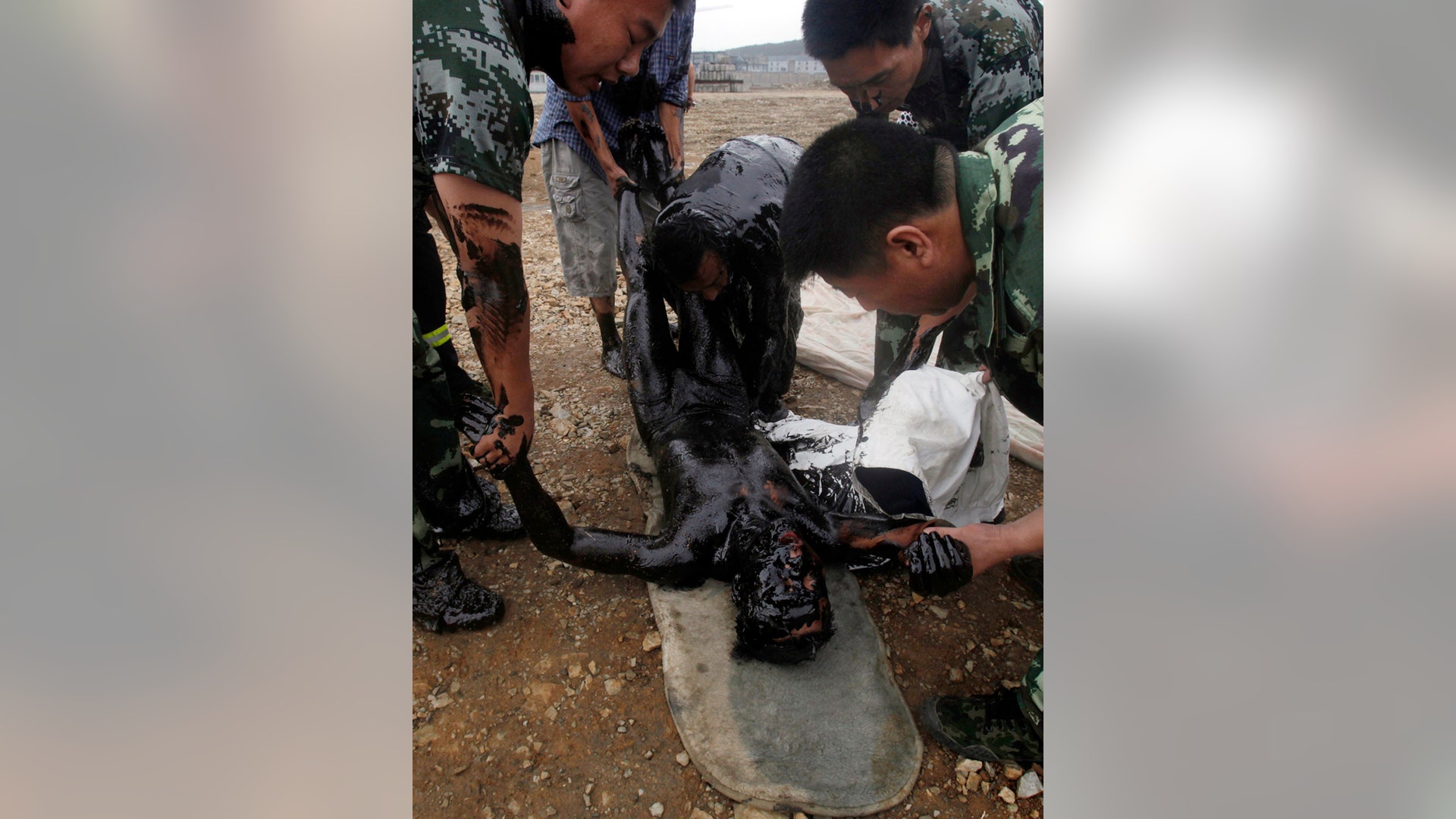 Rescued from the Oil