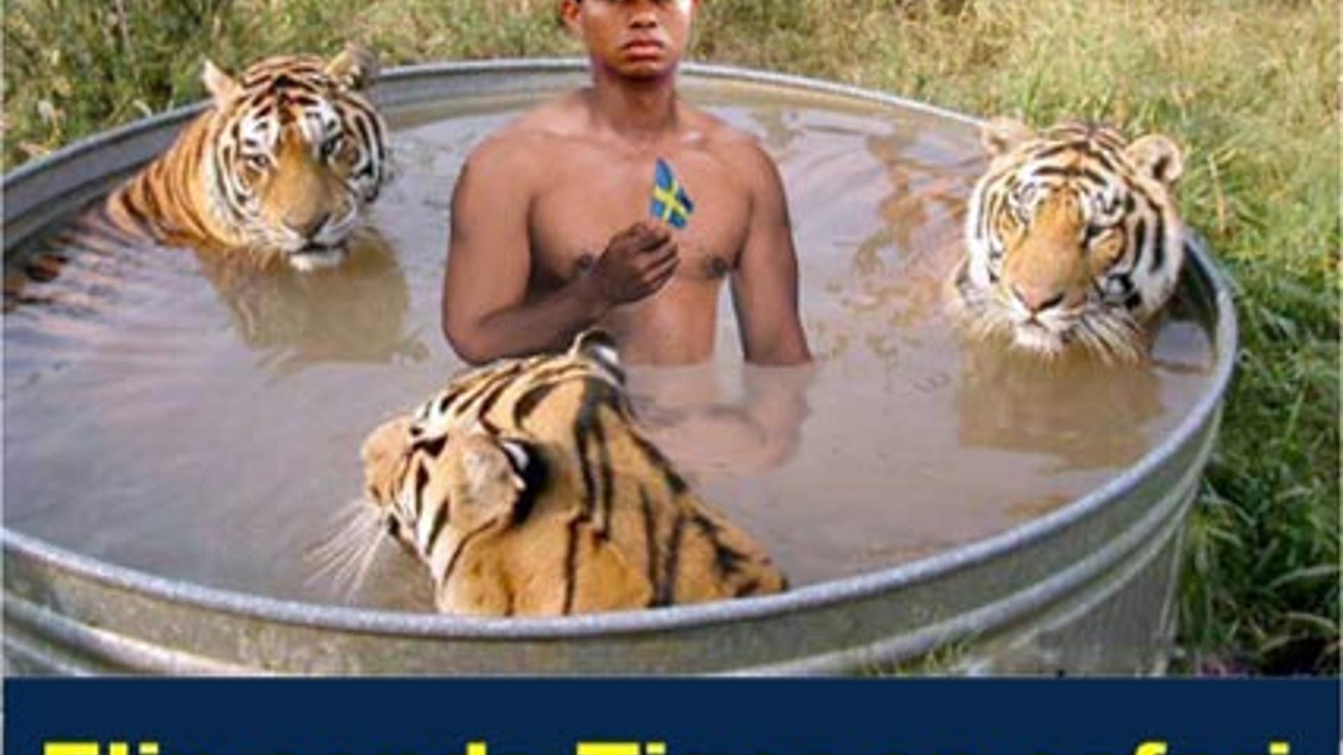 How Elin Should Spend Her Money