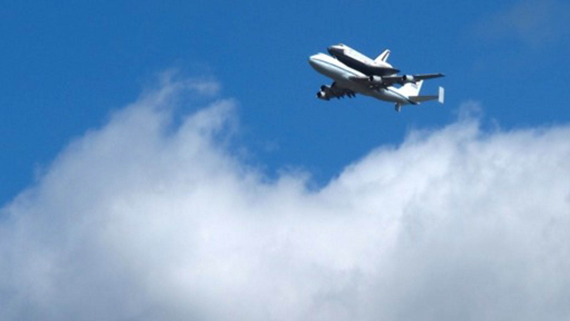 Intrepid_Shuttle_Fox_1