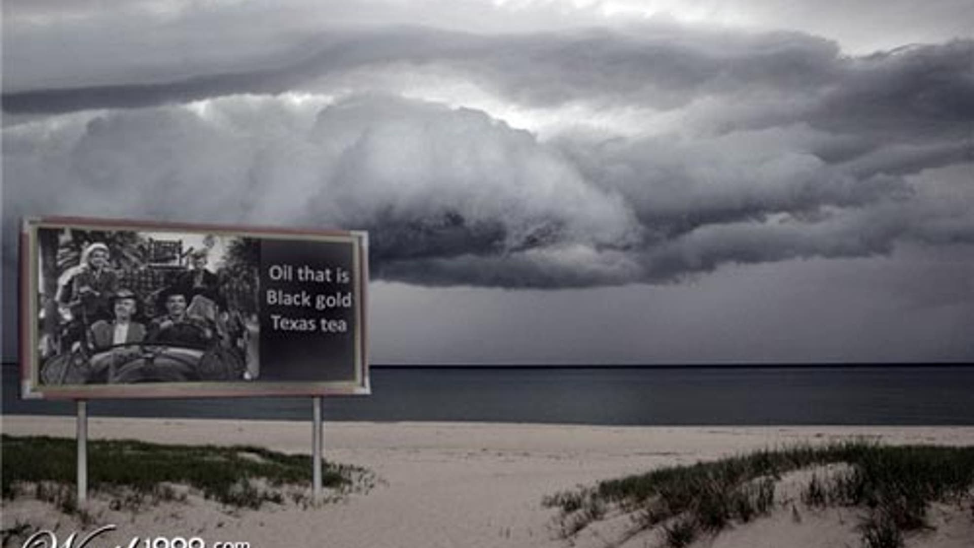 Visit the Gulf Coast