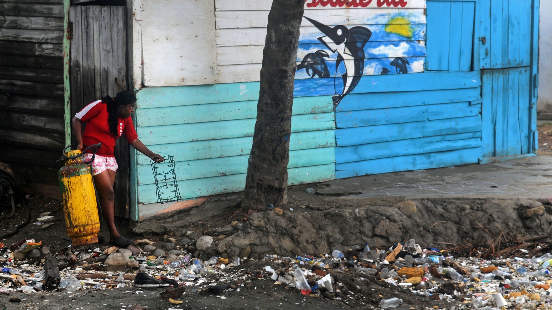 Dominican_Republic_Tr_Grat__6_