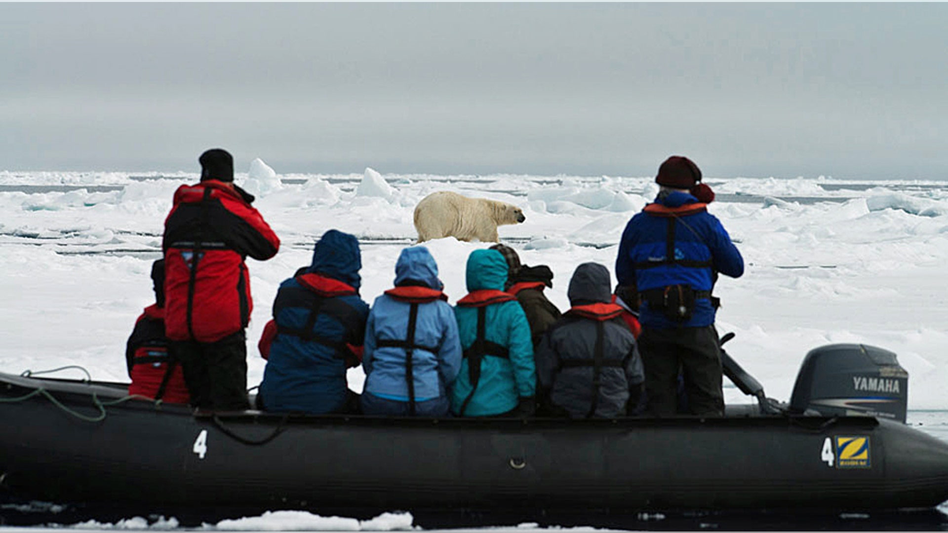 Arctic- Zodiac excursion