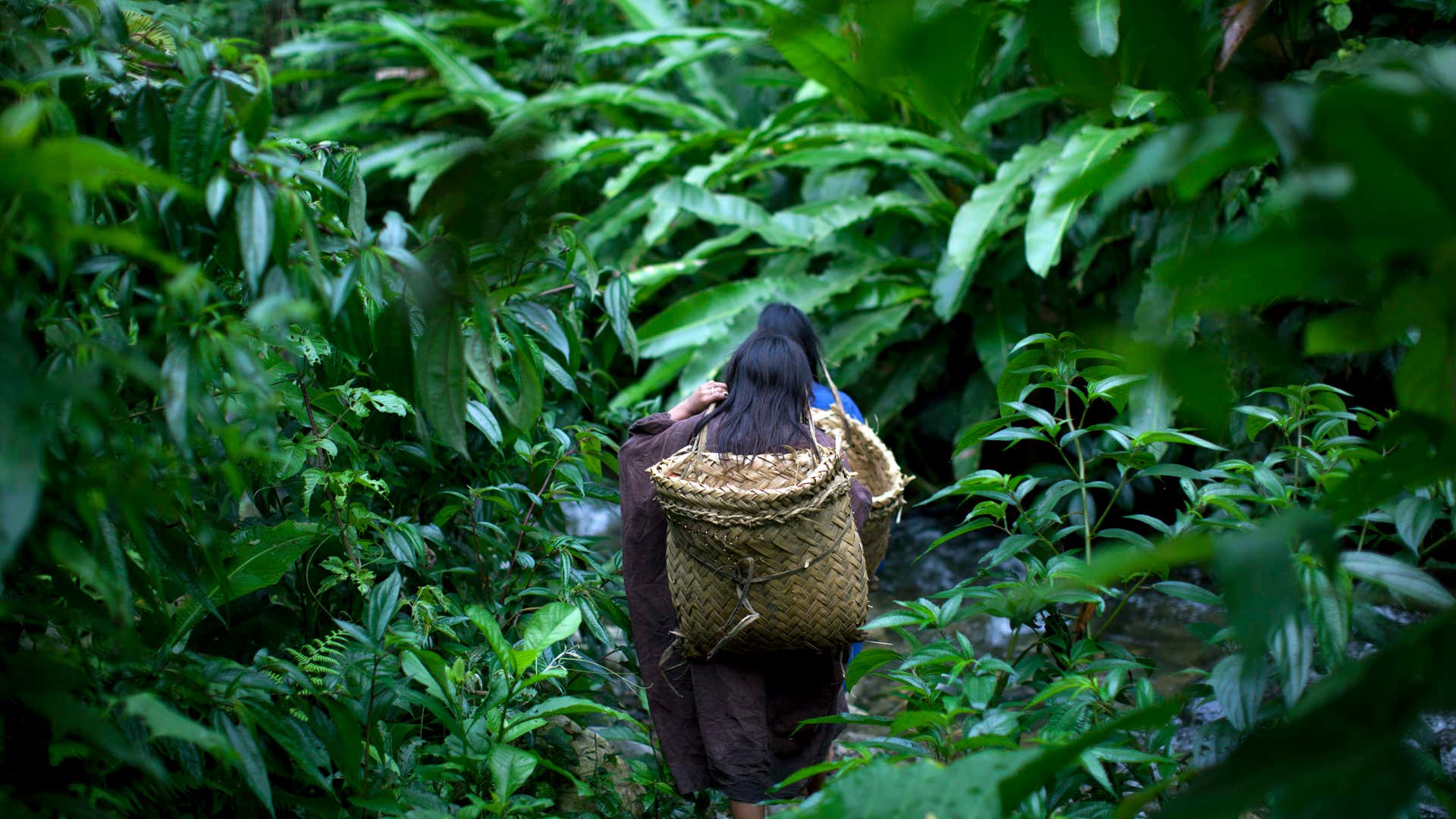 Peru_Amazon_Indigenous__7_