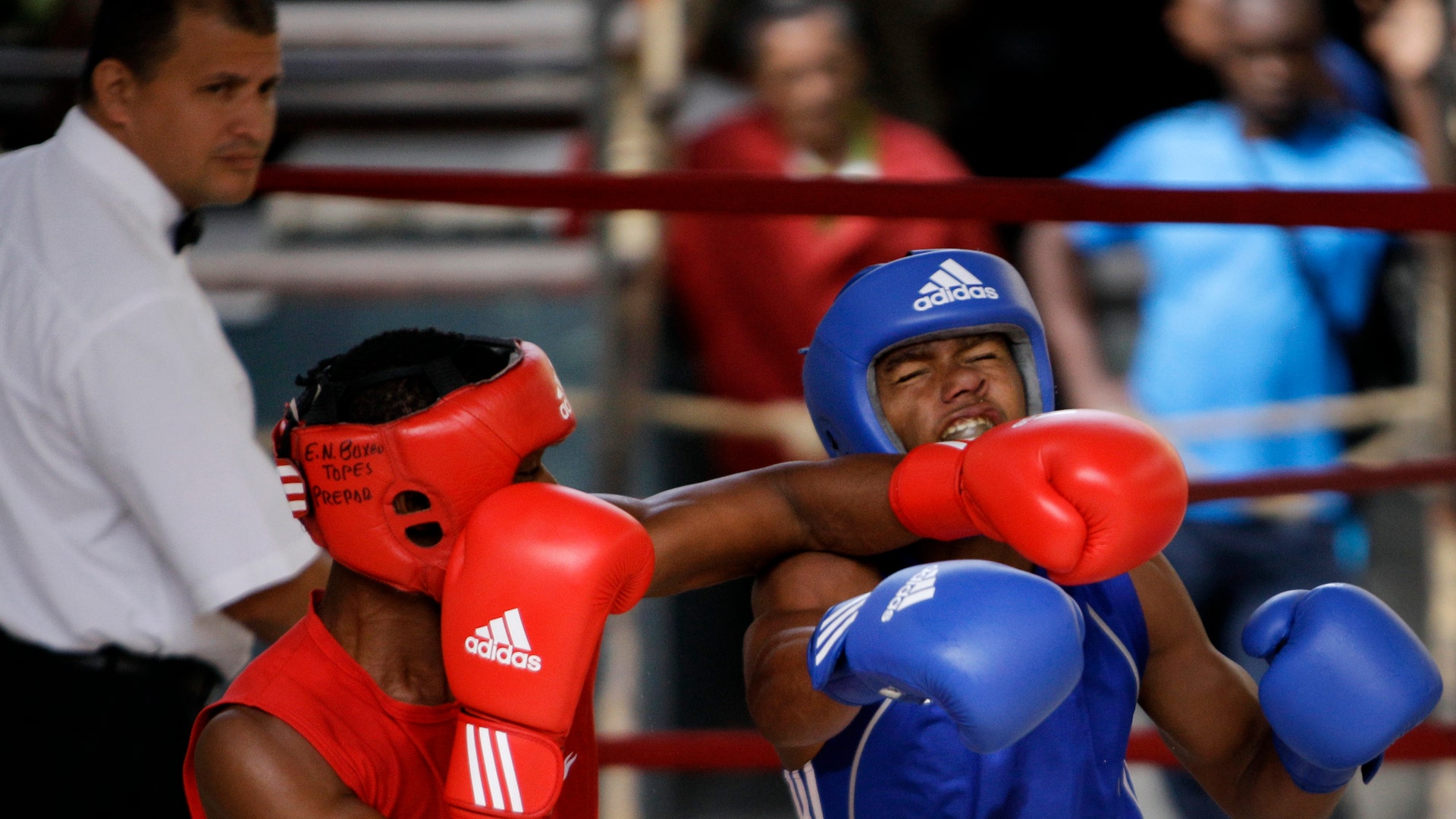 Cuba_Pro_Boxings_Retu_Plan