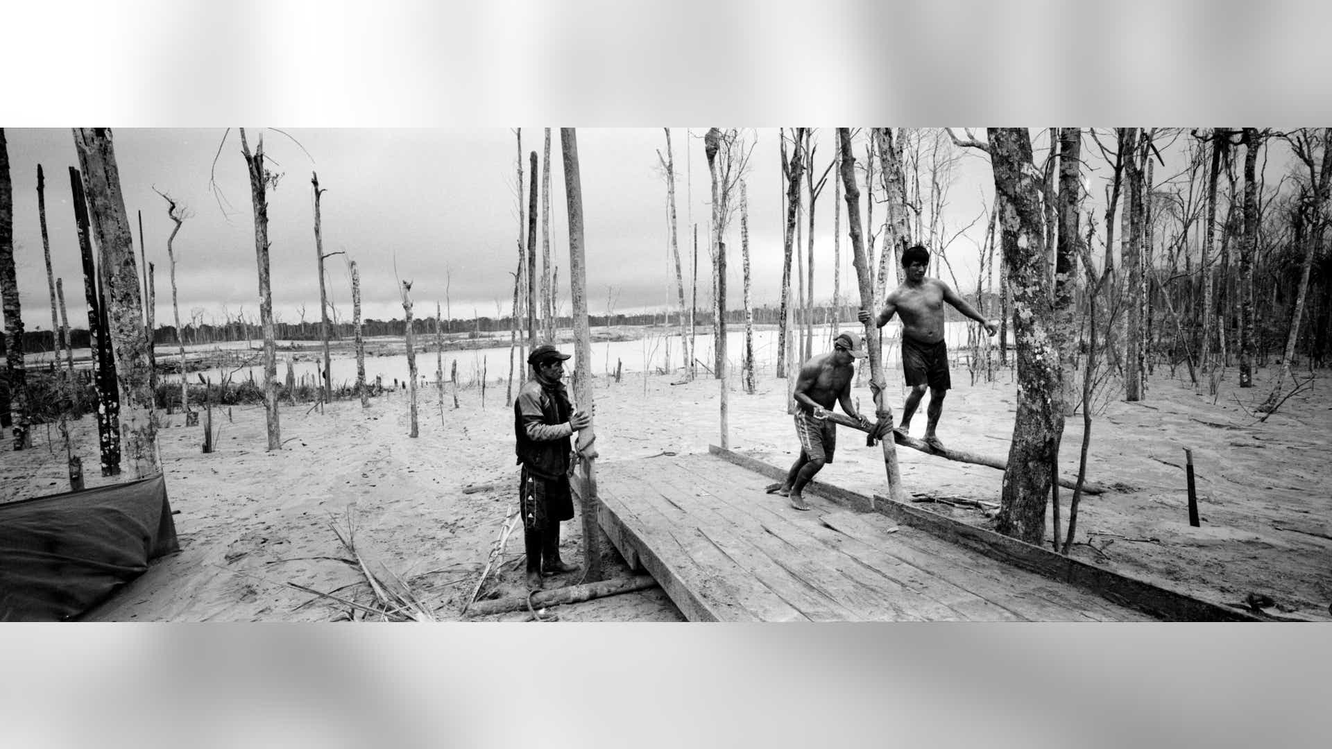 Peru_Rainforest_Destroyed__9_