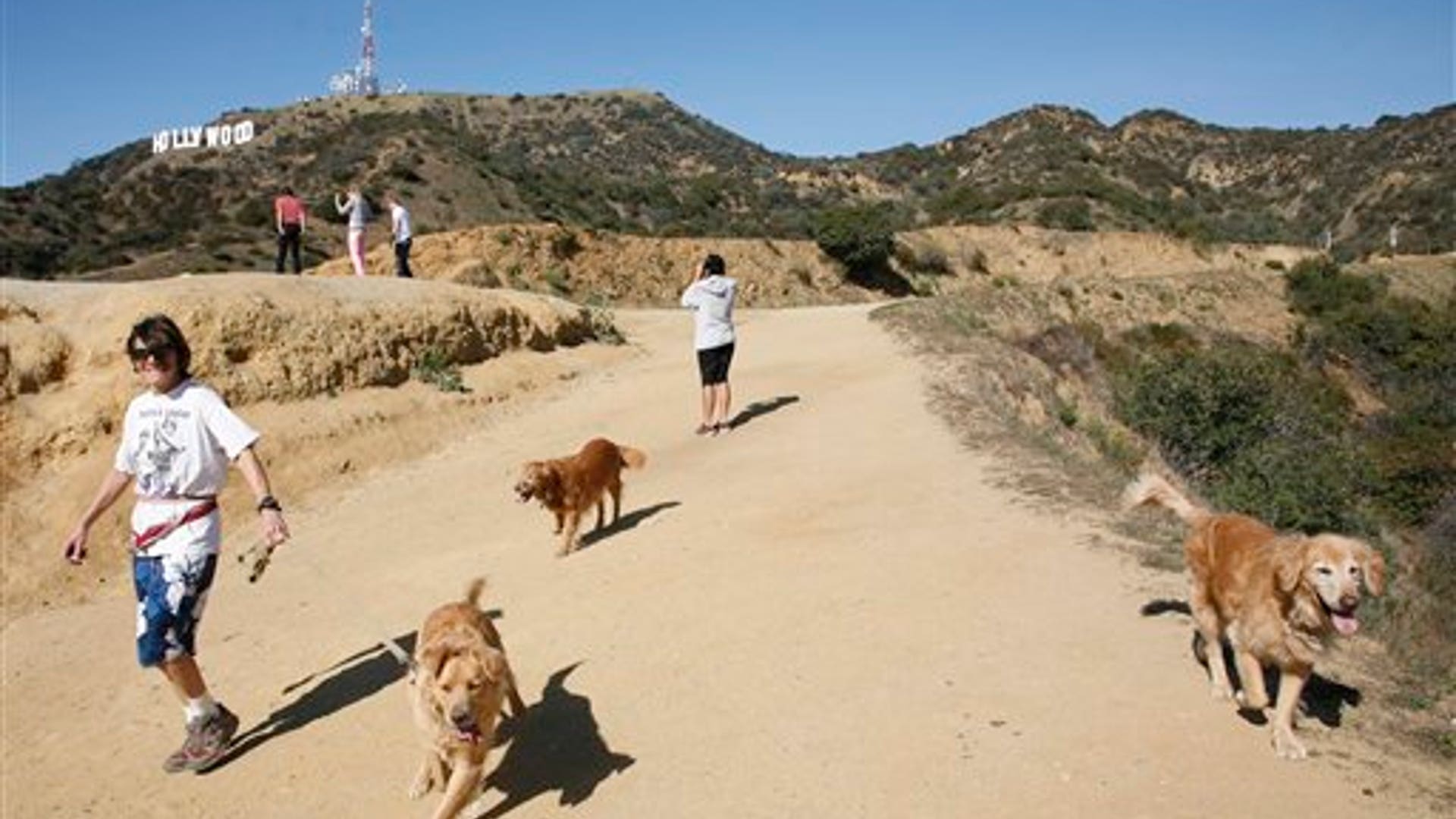 Human Head Found Los Angeles Walkers