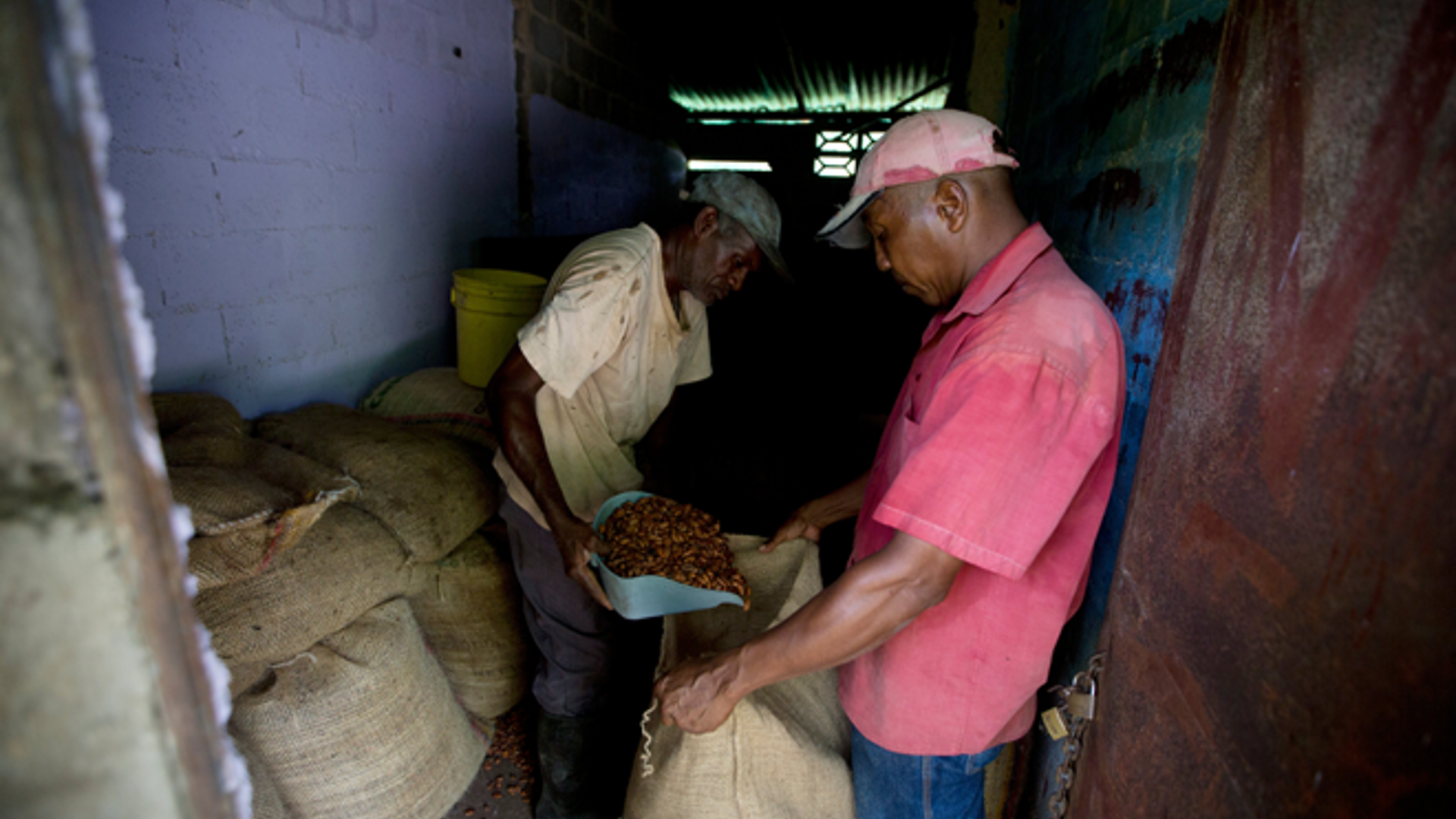Venezuela_Chocolate_Trade__1_