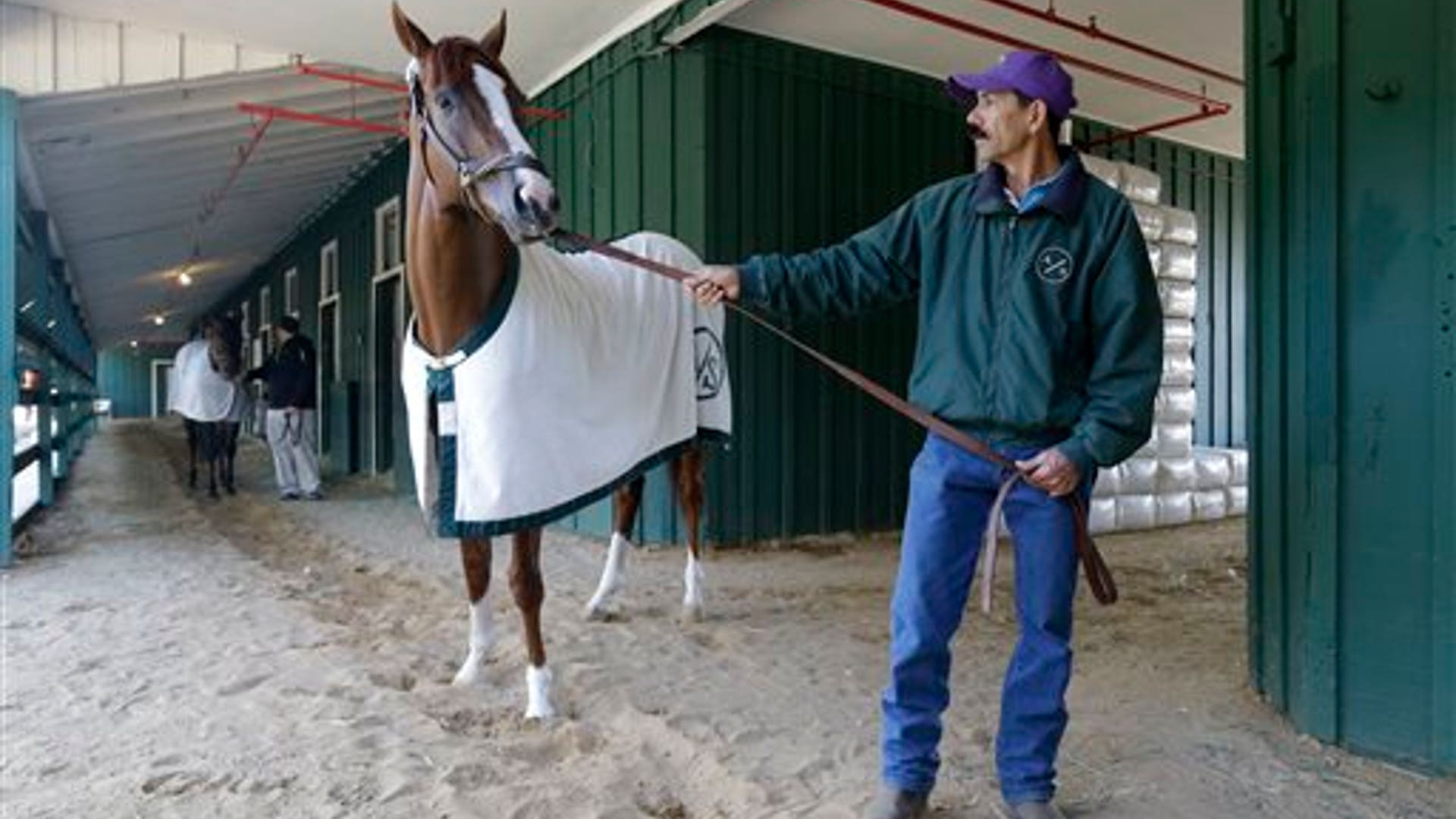 California_Chrome_7