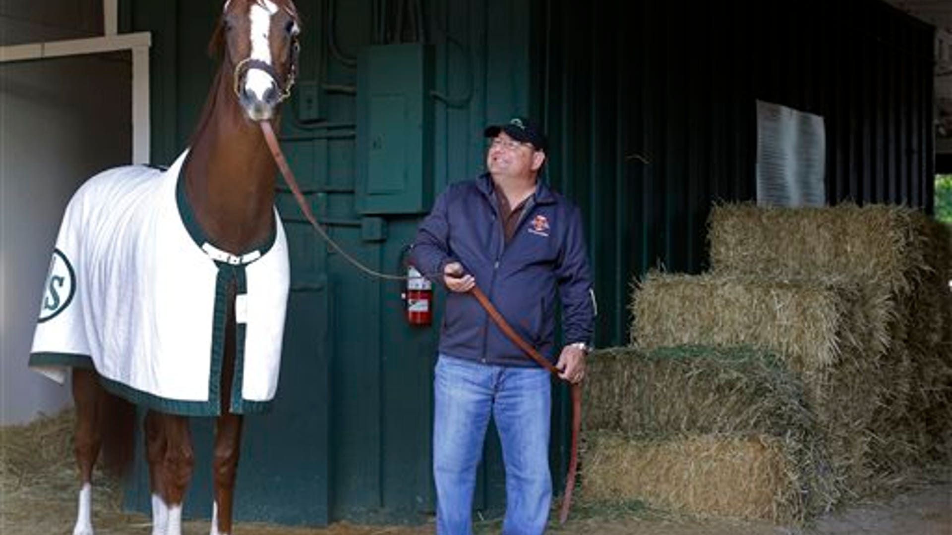 California_Chrome_4